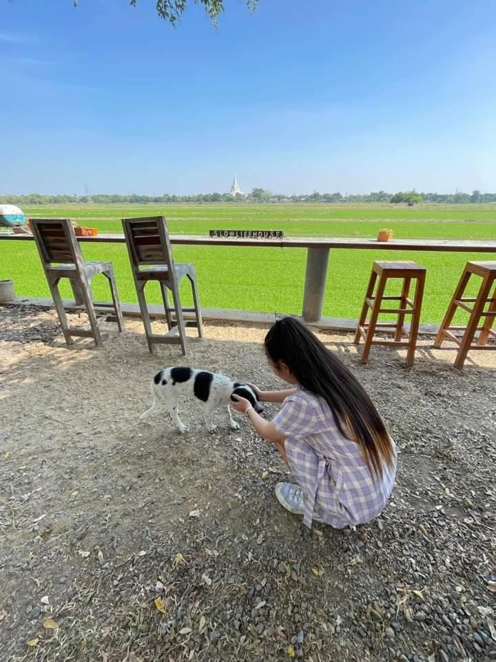 human