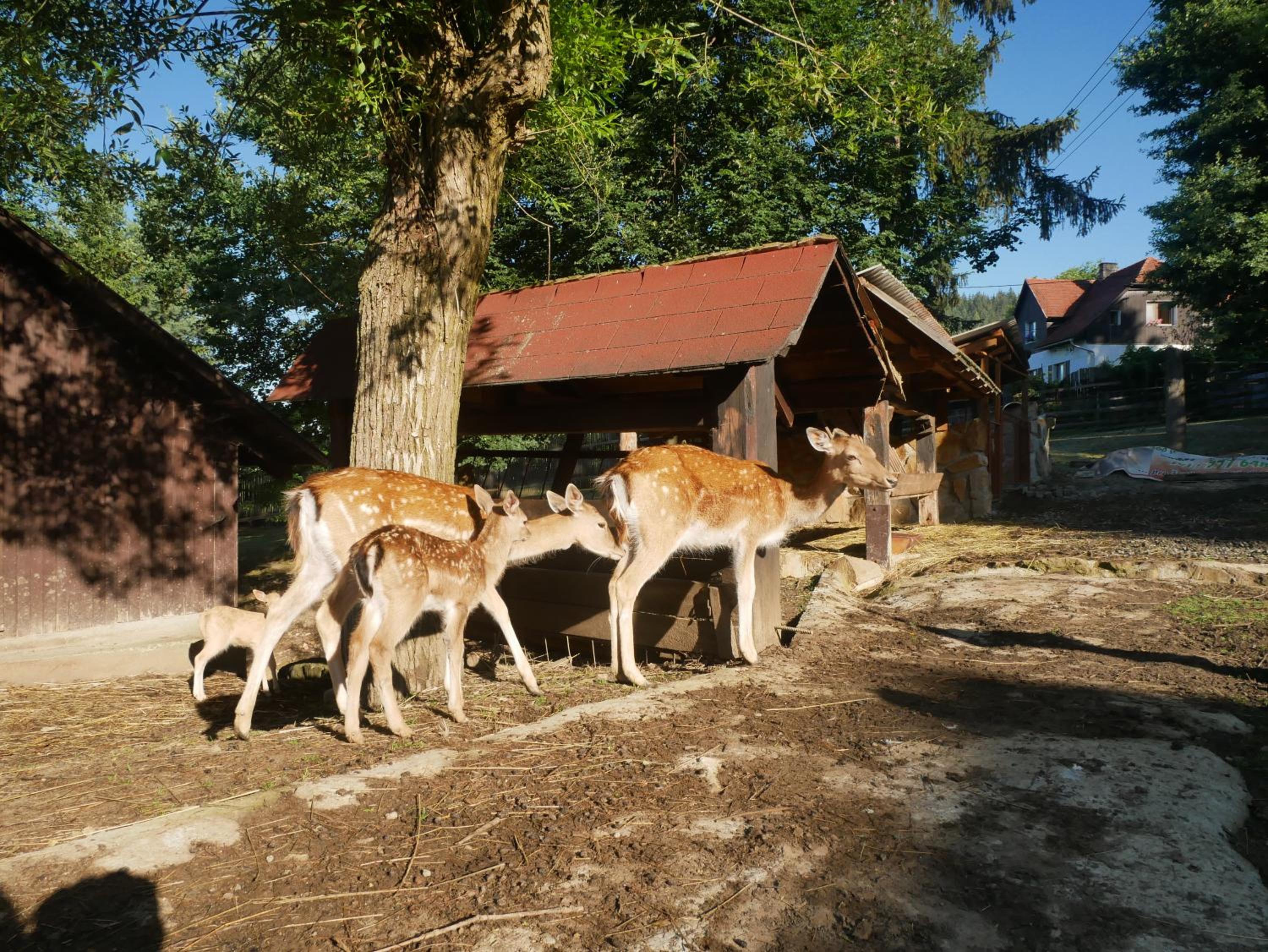 Penzion Obora