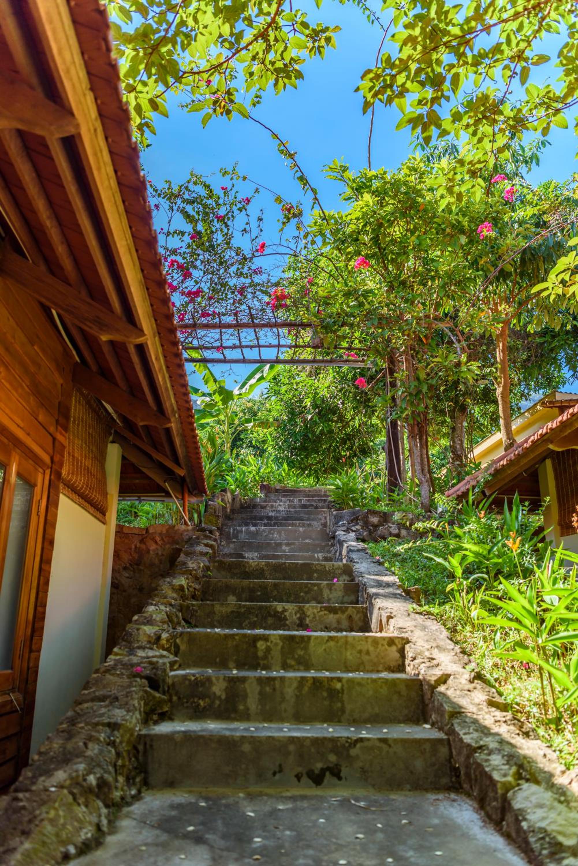 Mango Beach Resort