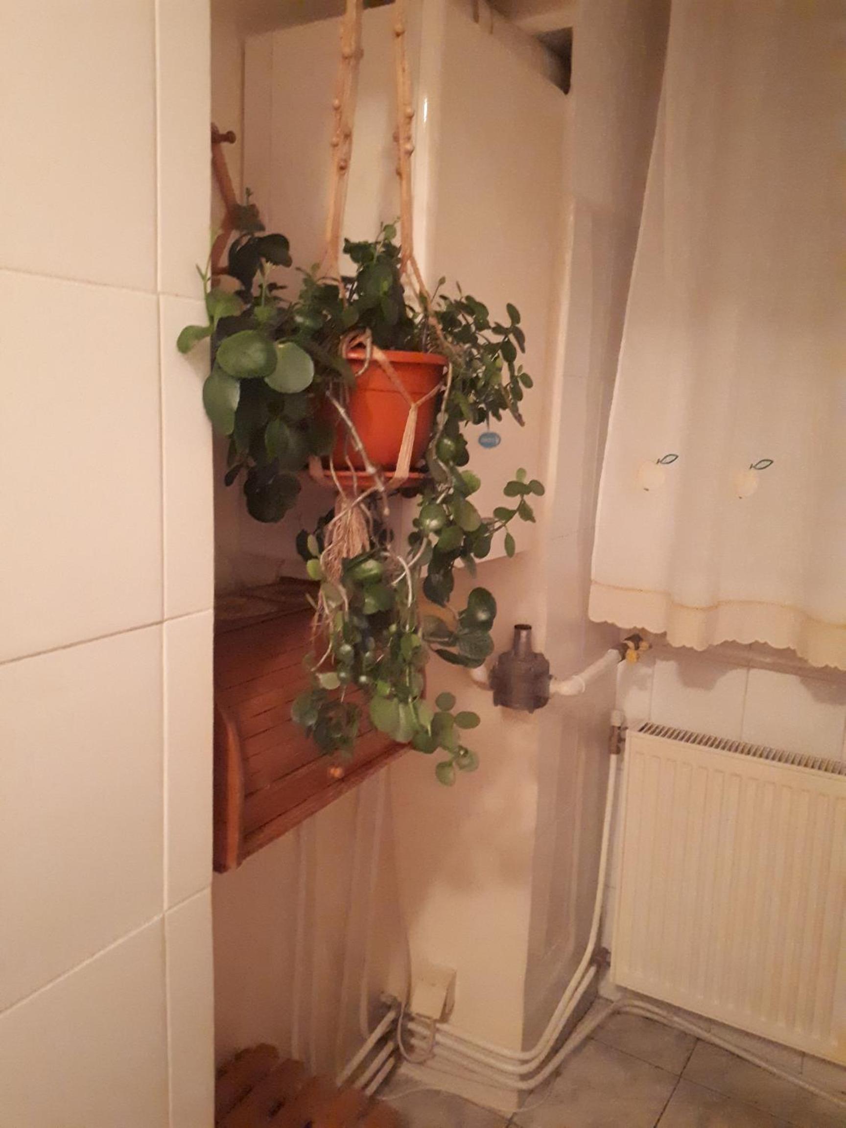 other
