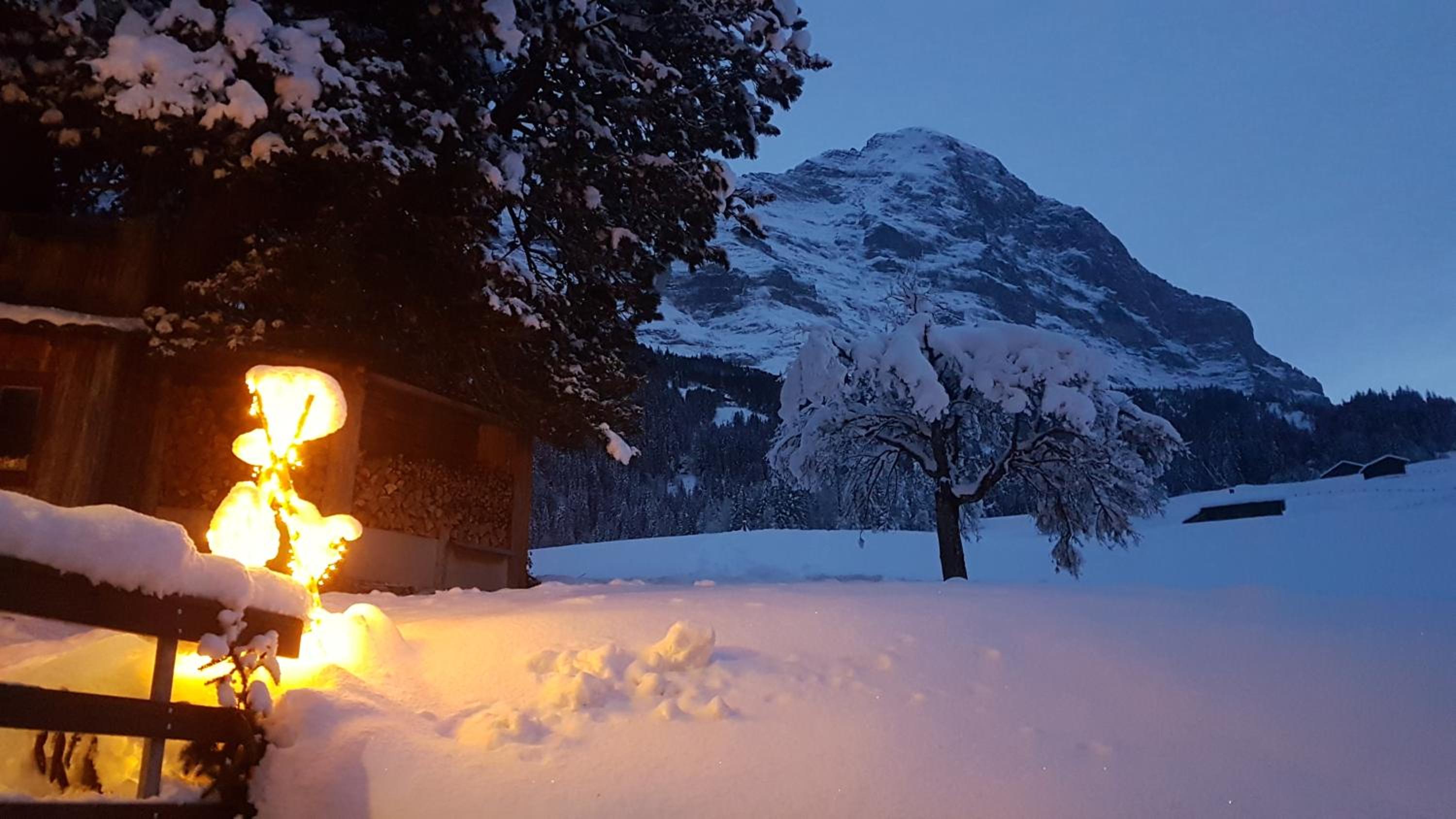 Chalet bei der Arve