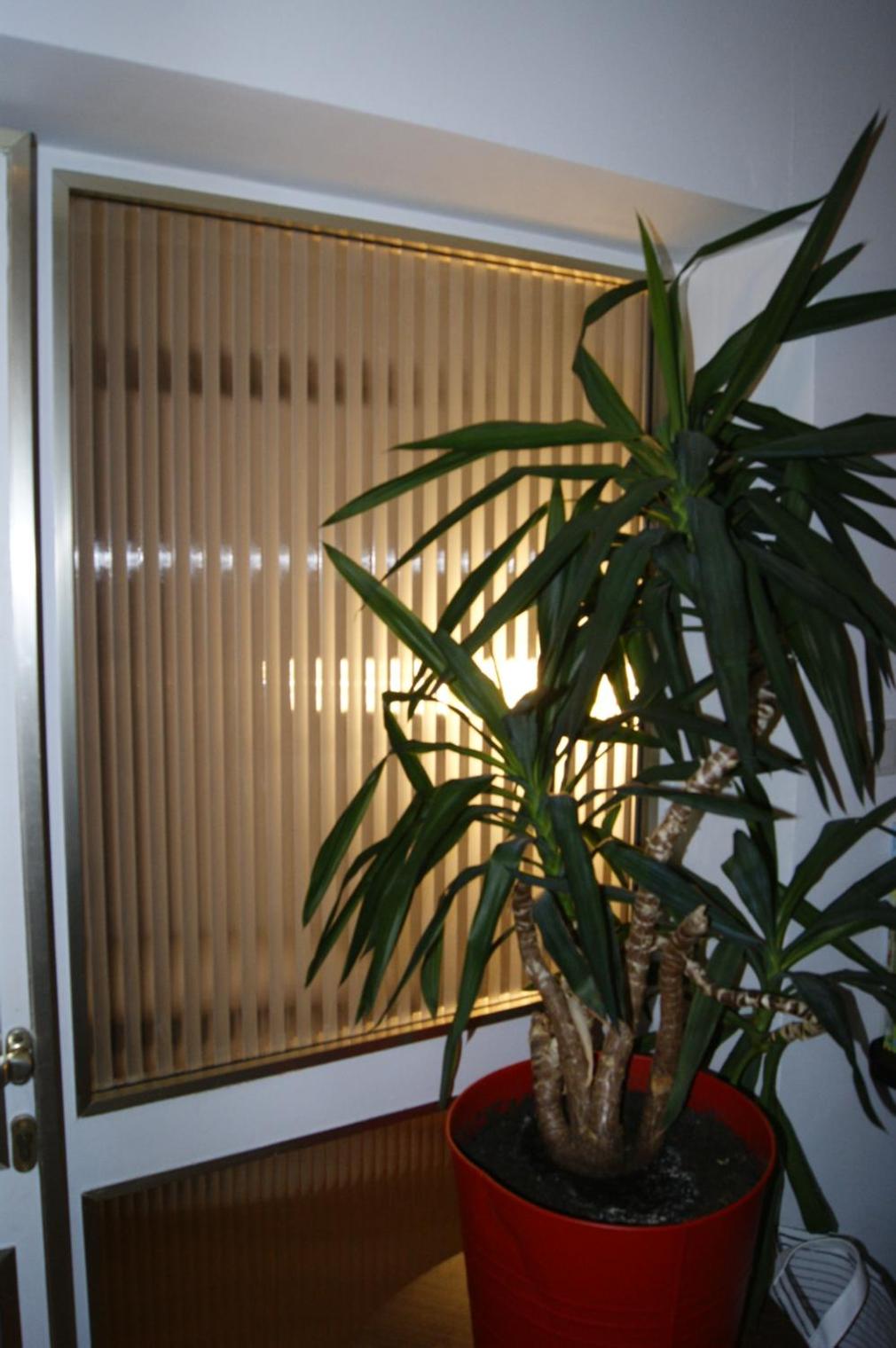 Ferienhaus Fräulein Frenz