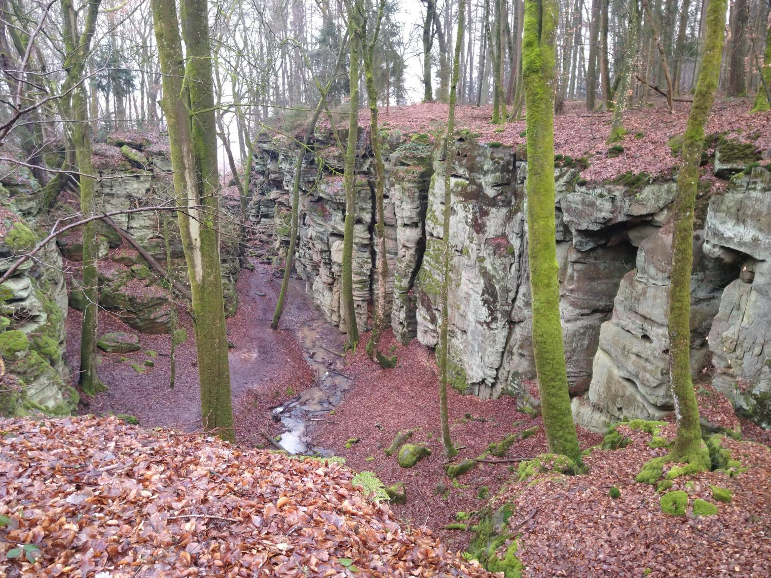 Ferienhaus Fräulein Frenz
