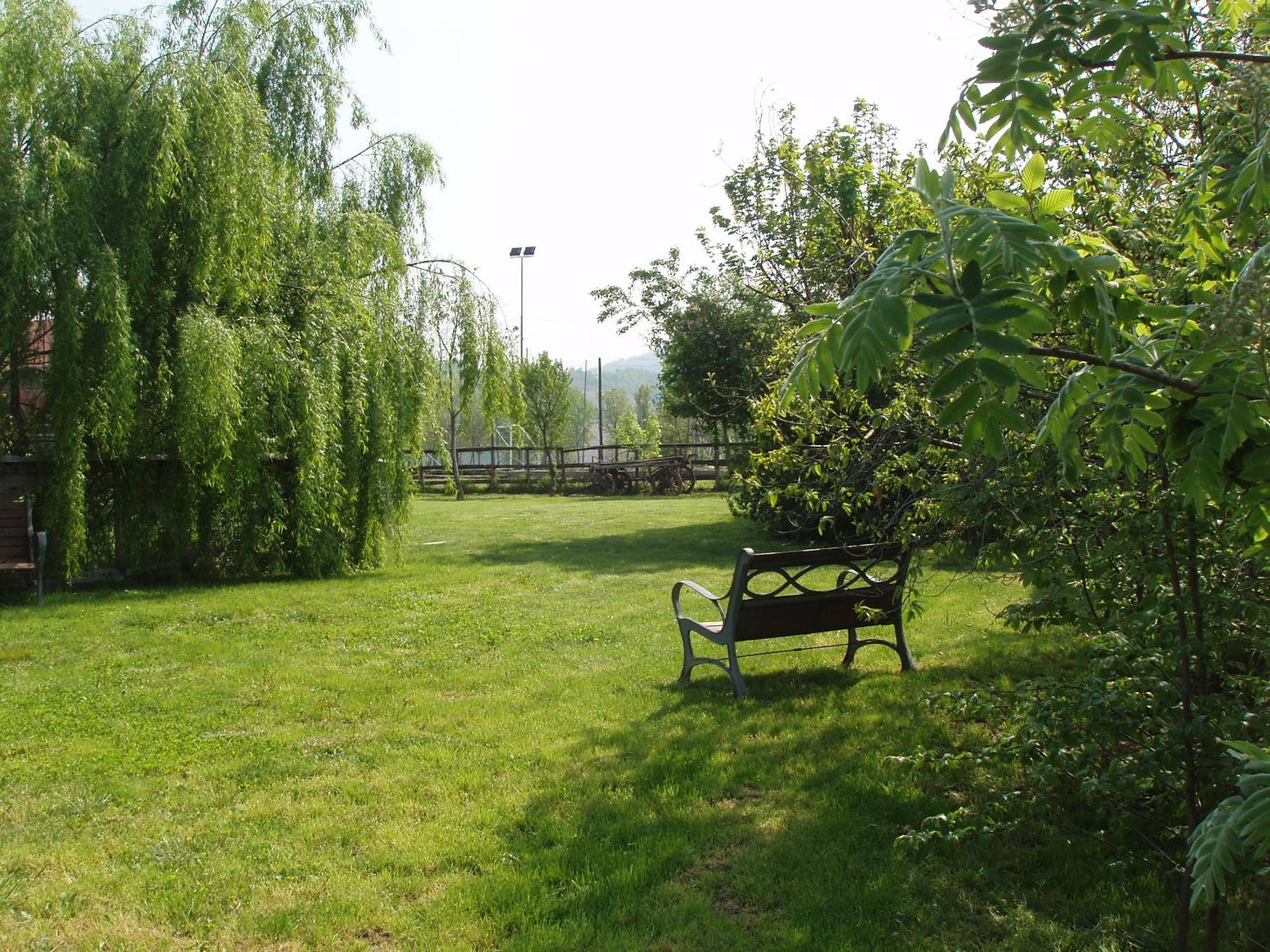 Photo 39