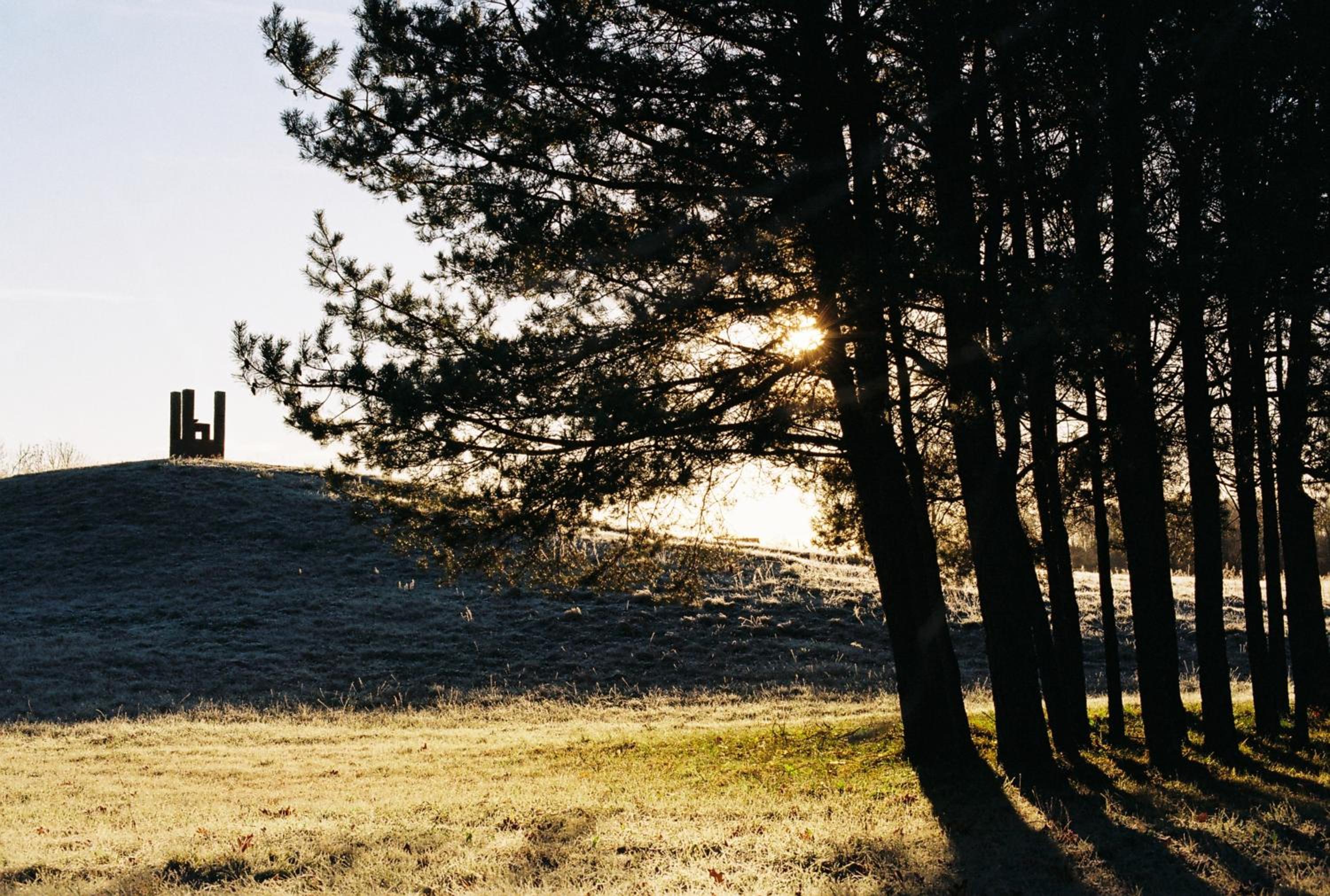Photo 45