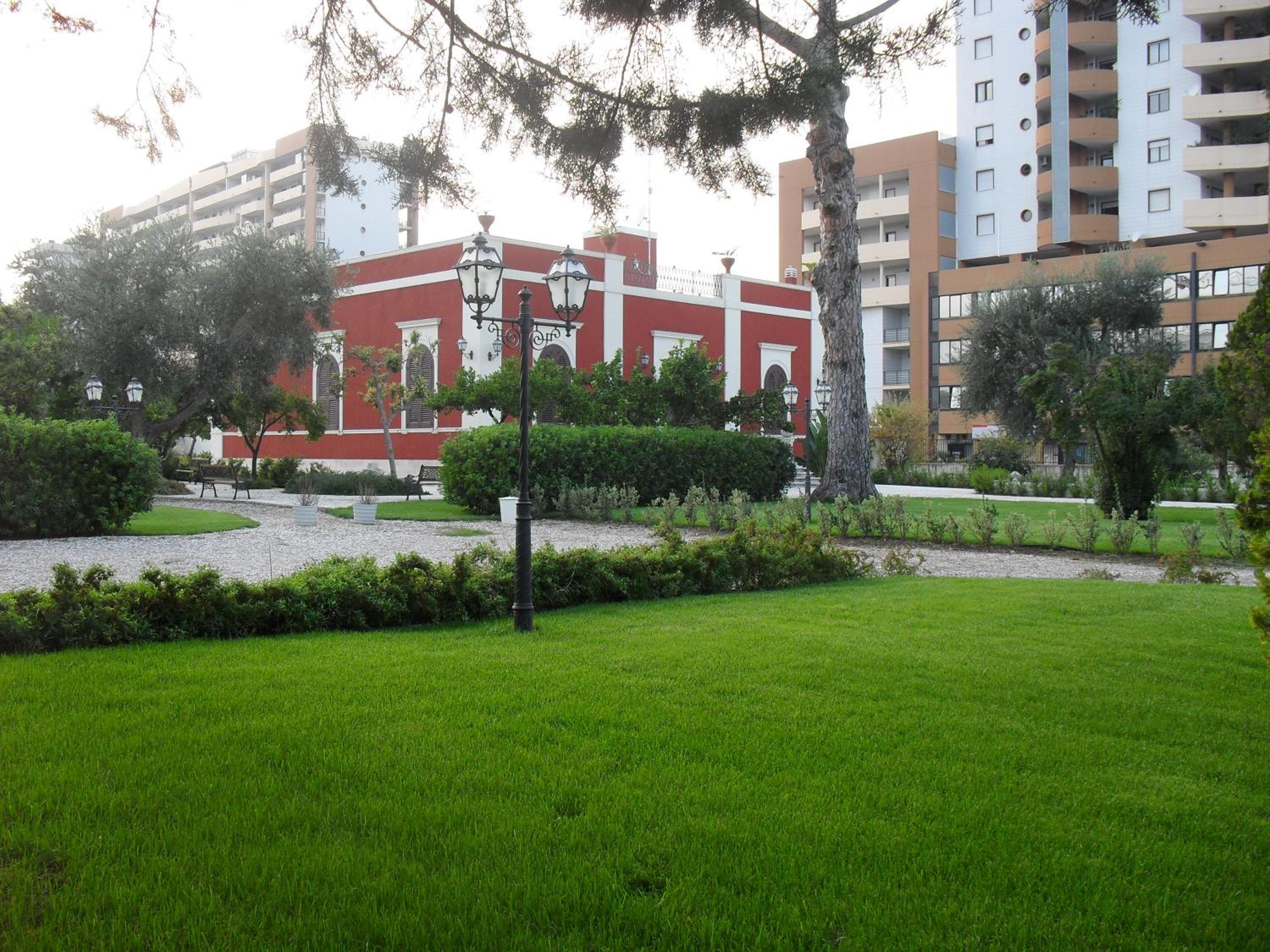 Photo 7