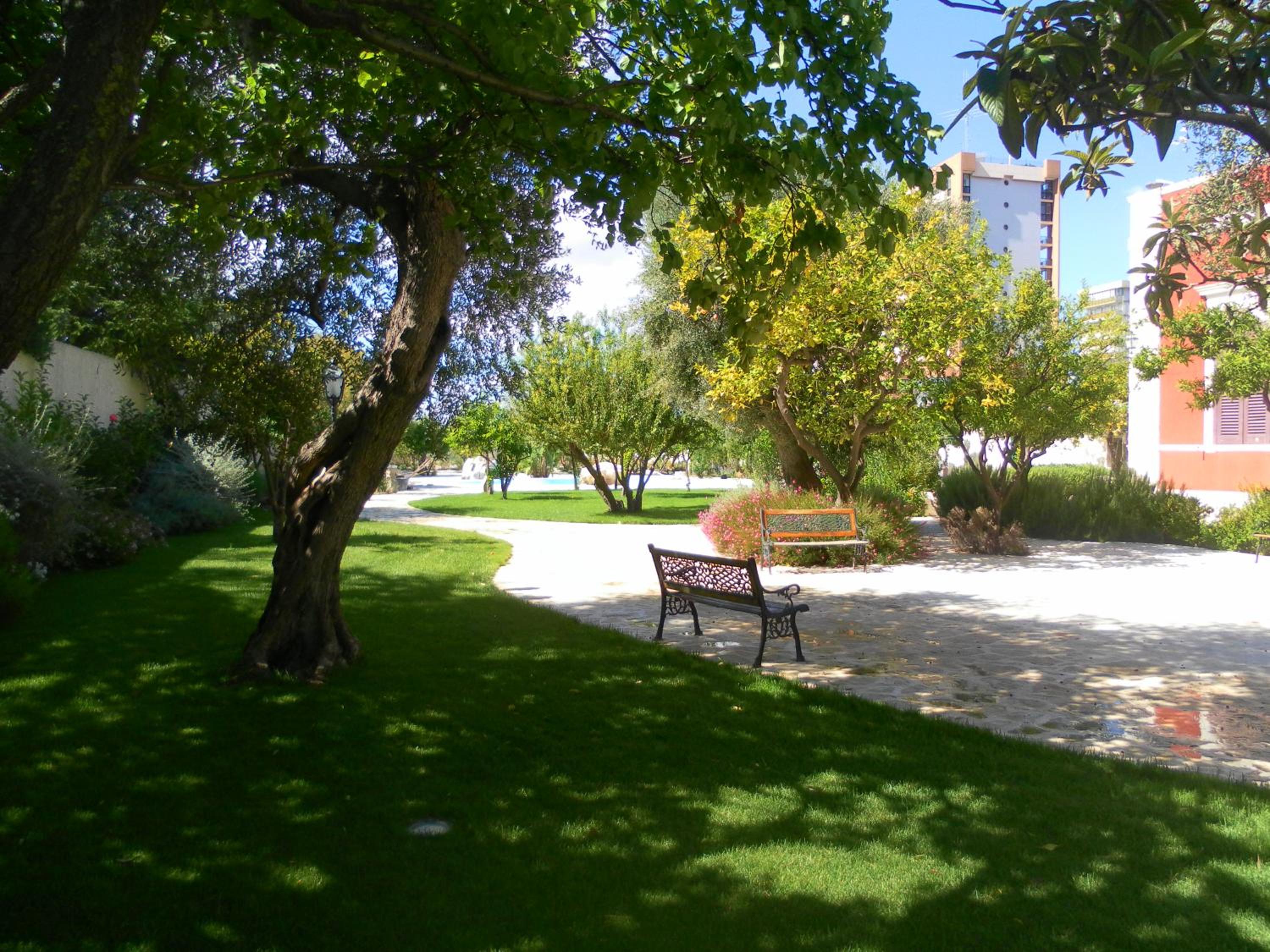 Photo 8