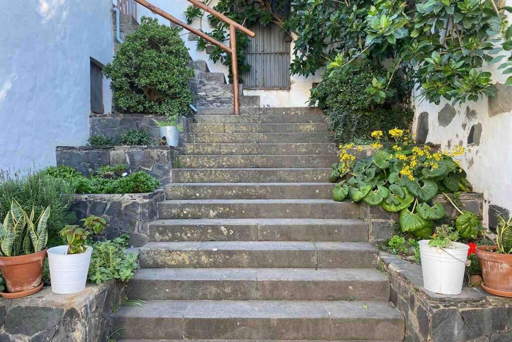 Casita Bioclimatica en el campo