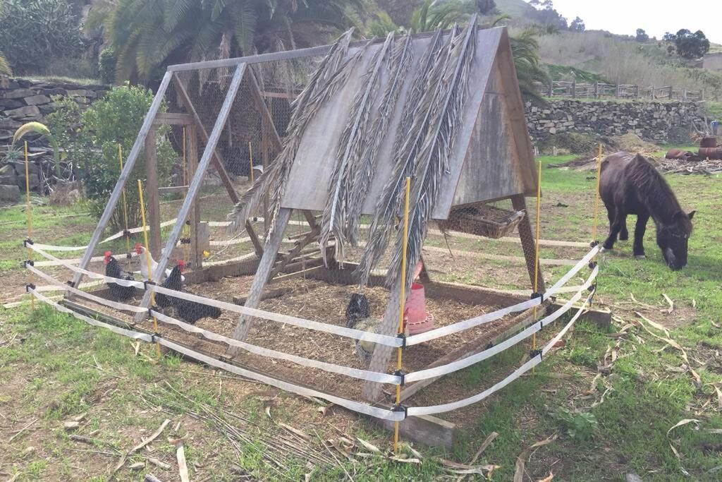 Casita Bioclimatica en el campo
