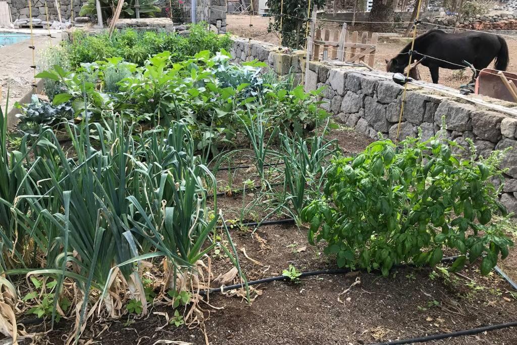 Casita Bioclimatica en el campo