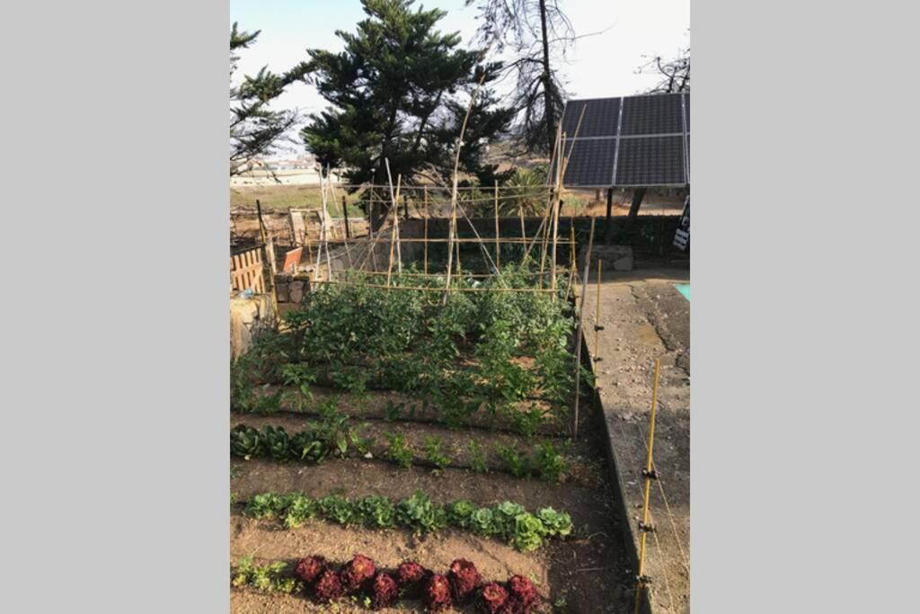 Casita Bioclimatica en el campo