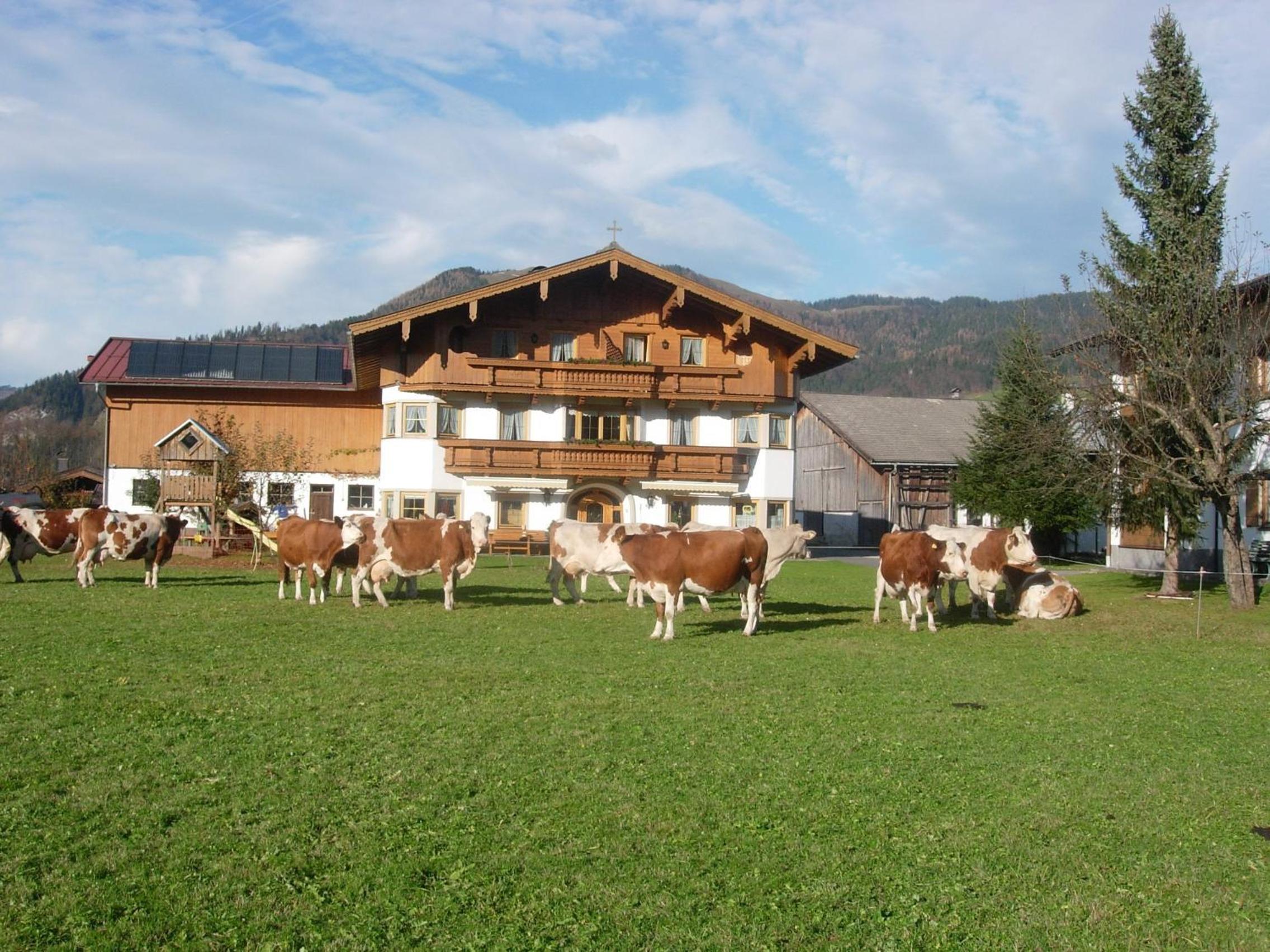 Hüttschmiedhof