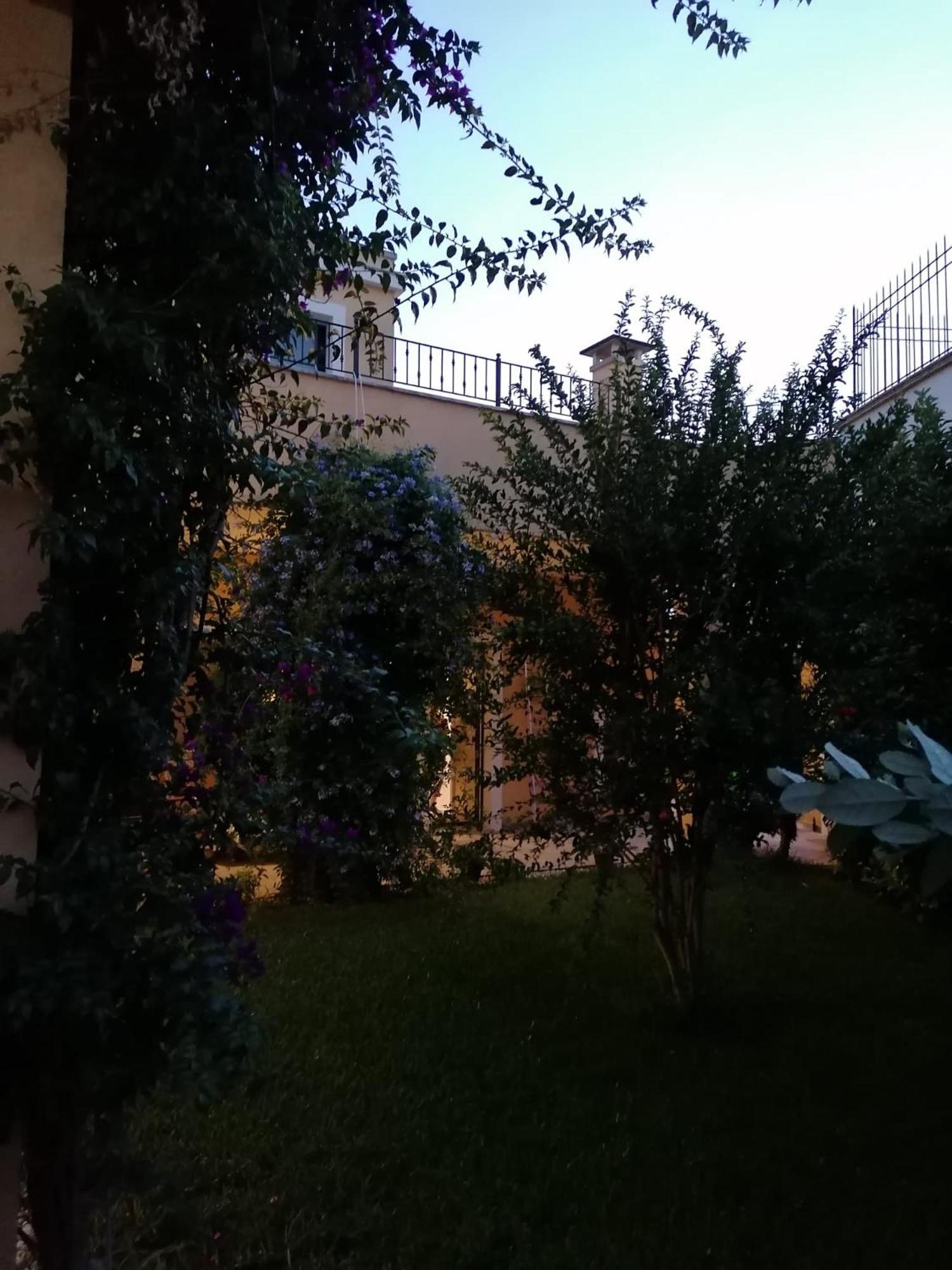 Photo 39