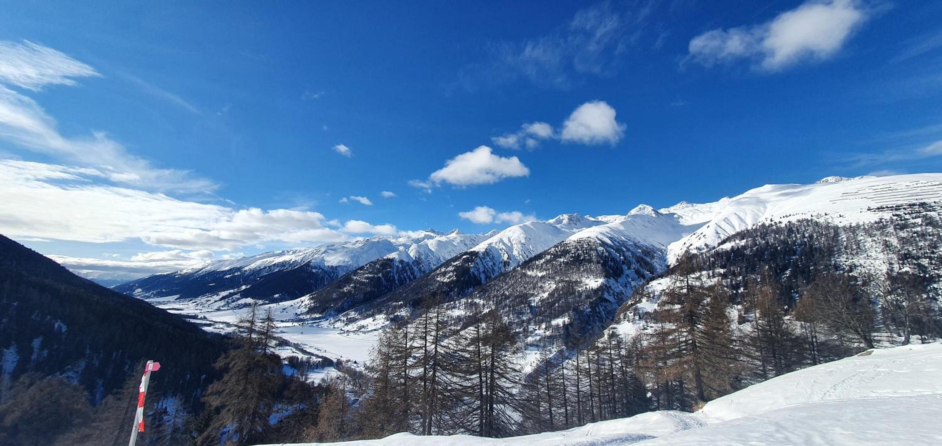 Chalet Biene - Swiss Alp Chalet with Sauna and Jacuzzi view 4