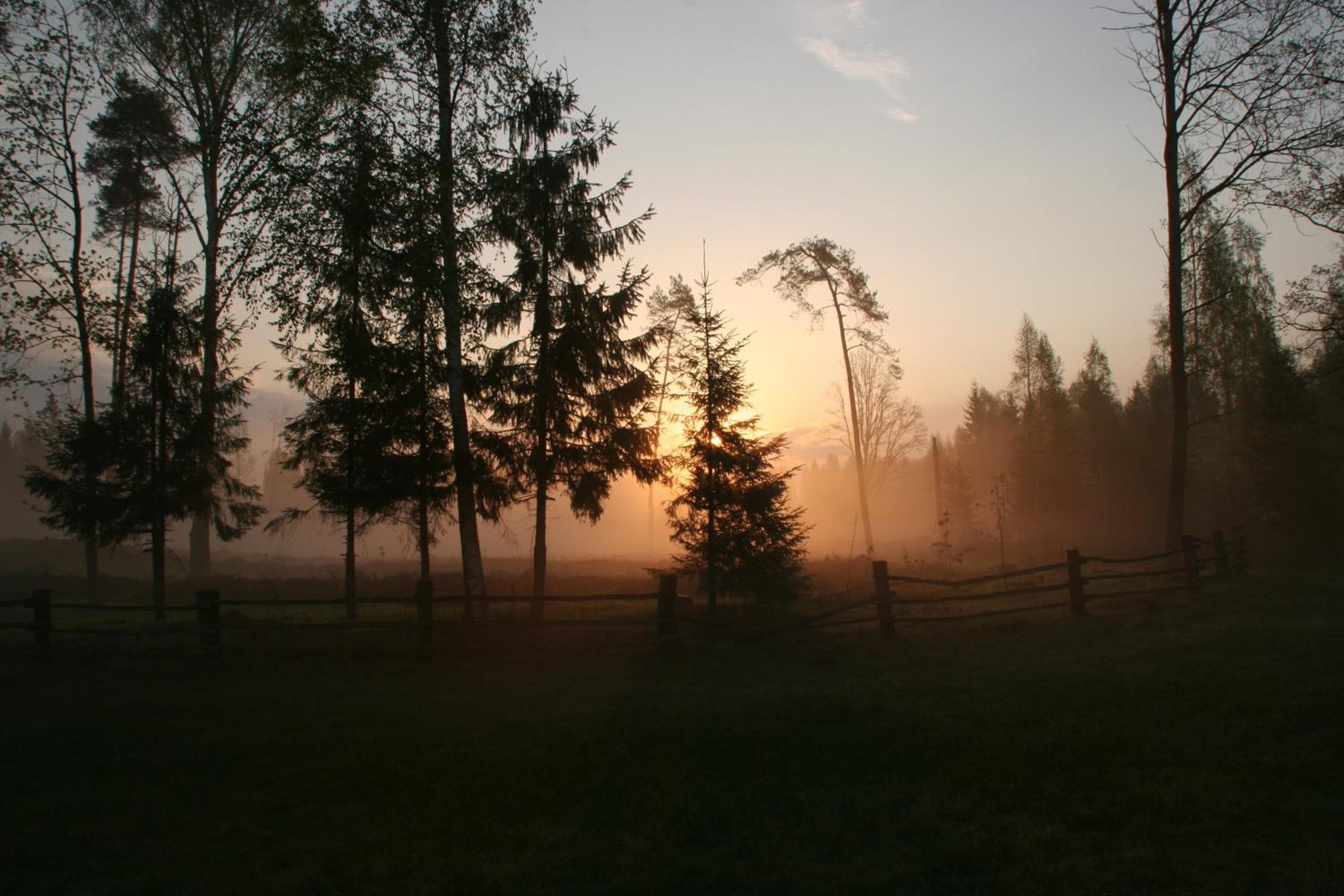 Miškiniškės