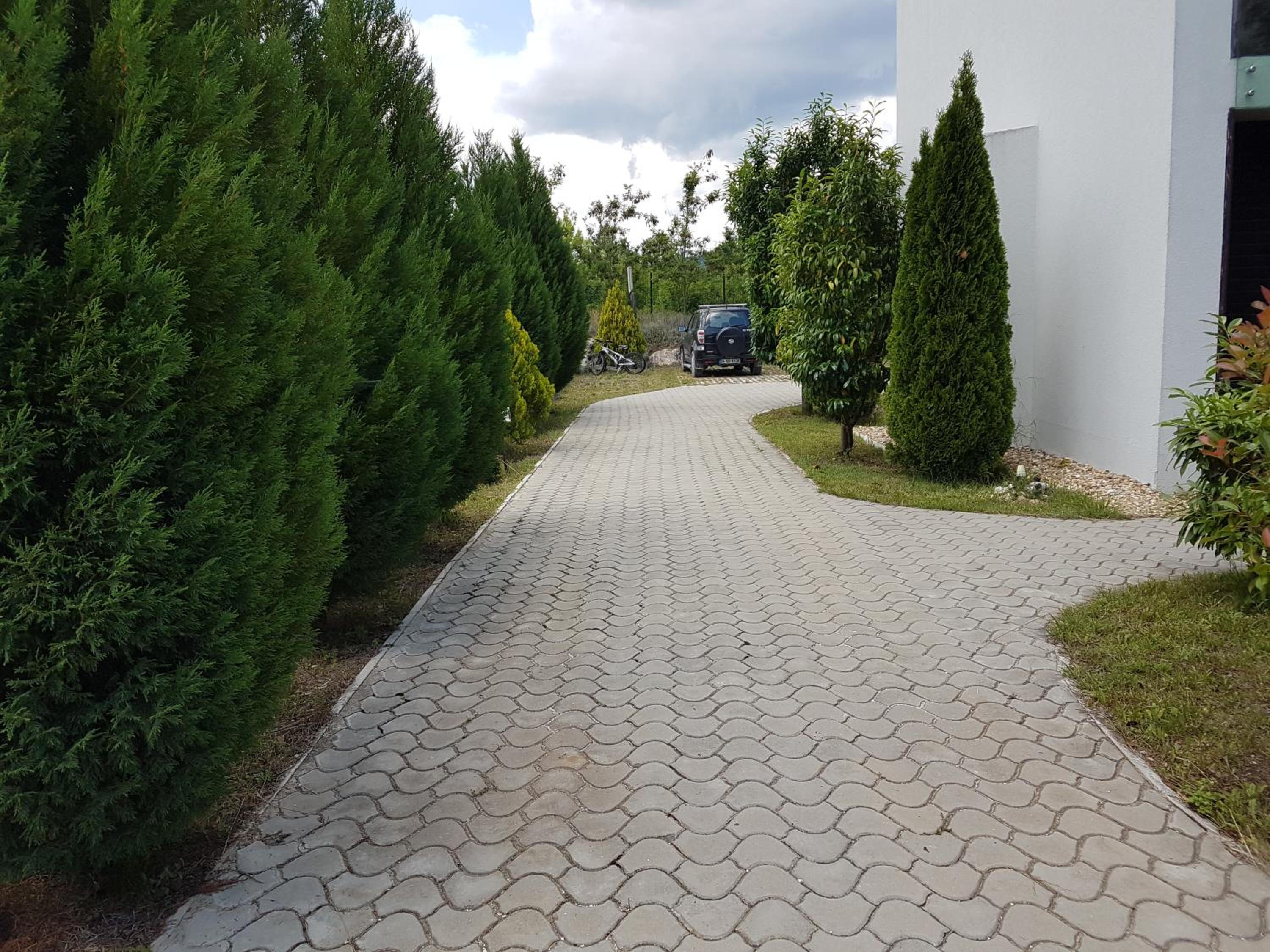 Photo 25