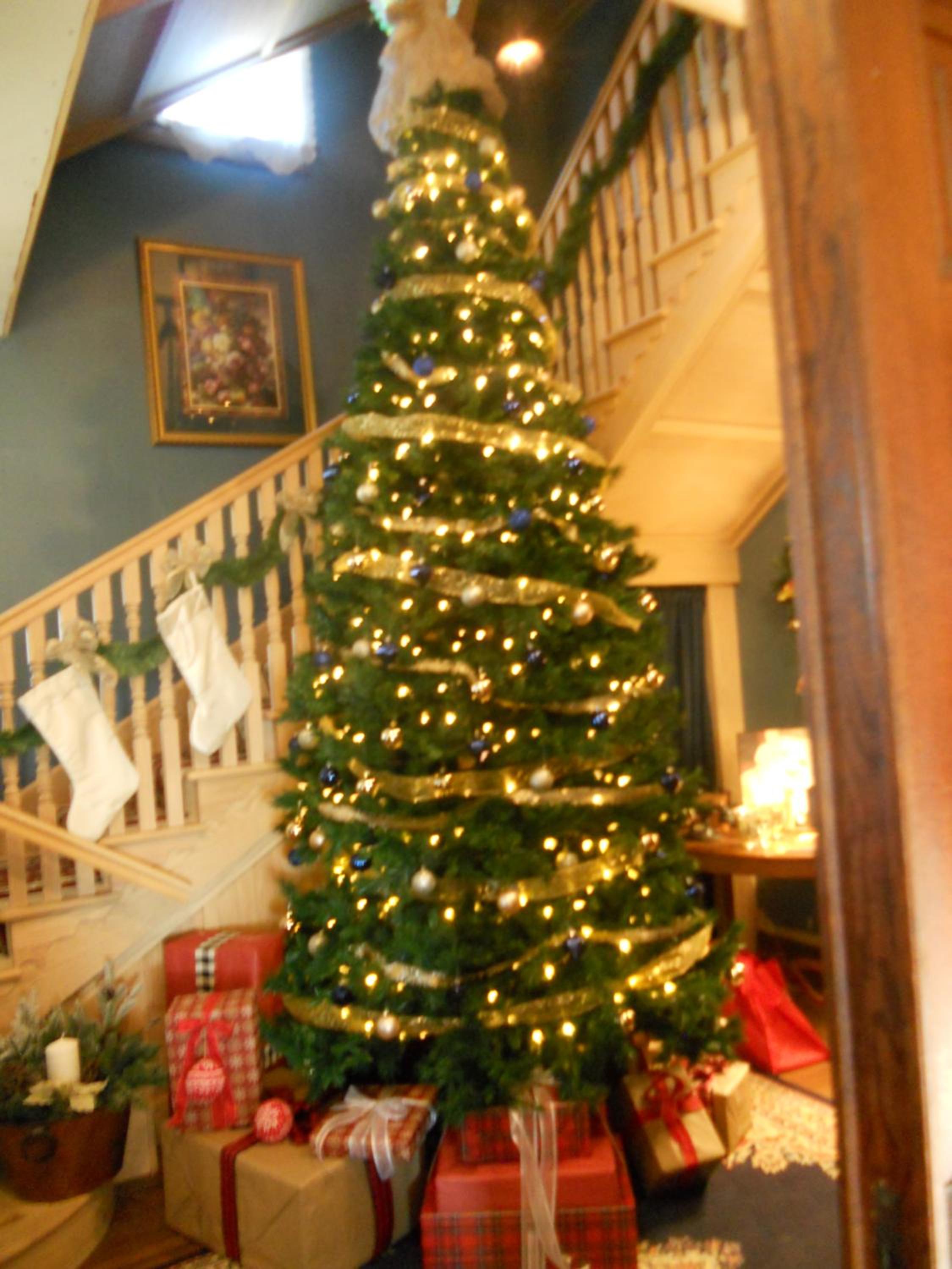 Photo 11