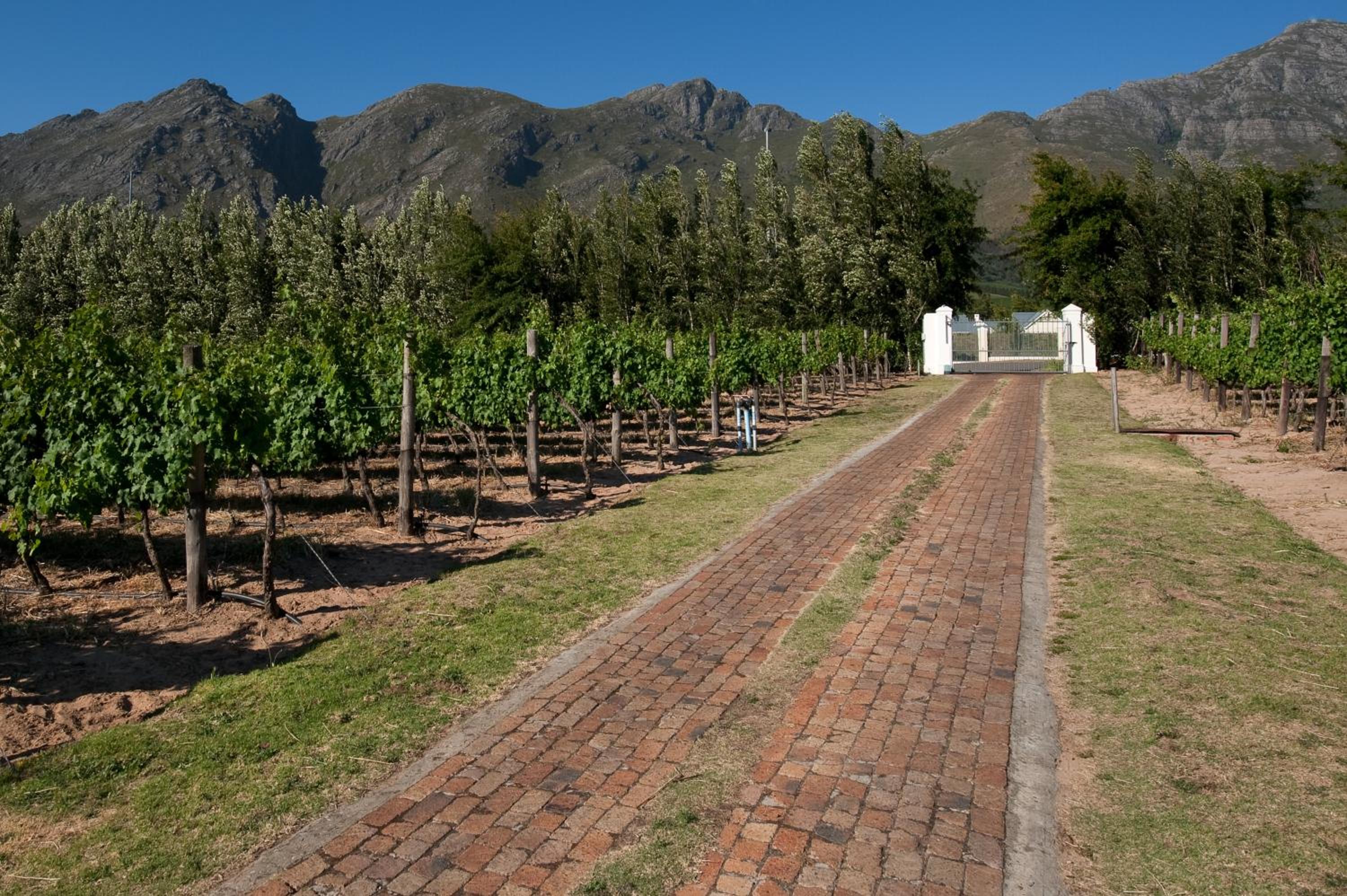 La Galiniere Guest Cottages - Image 5