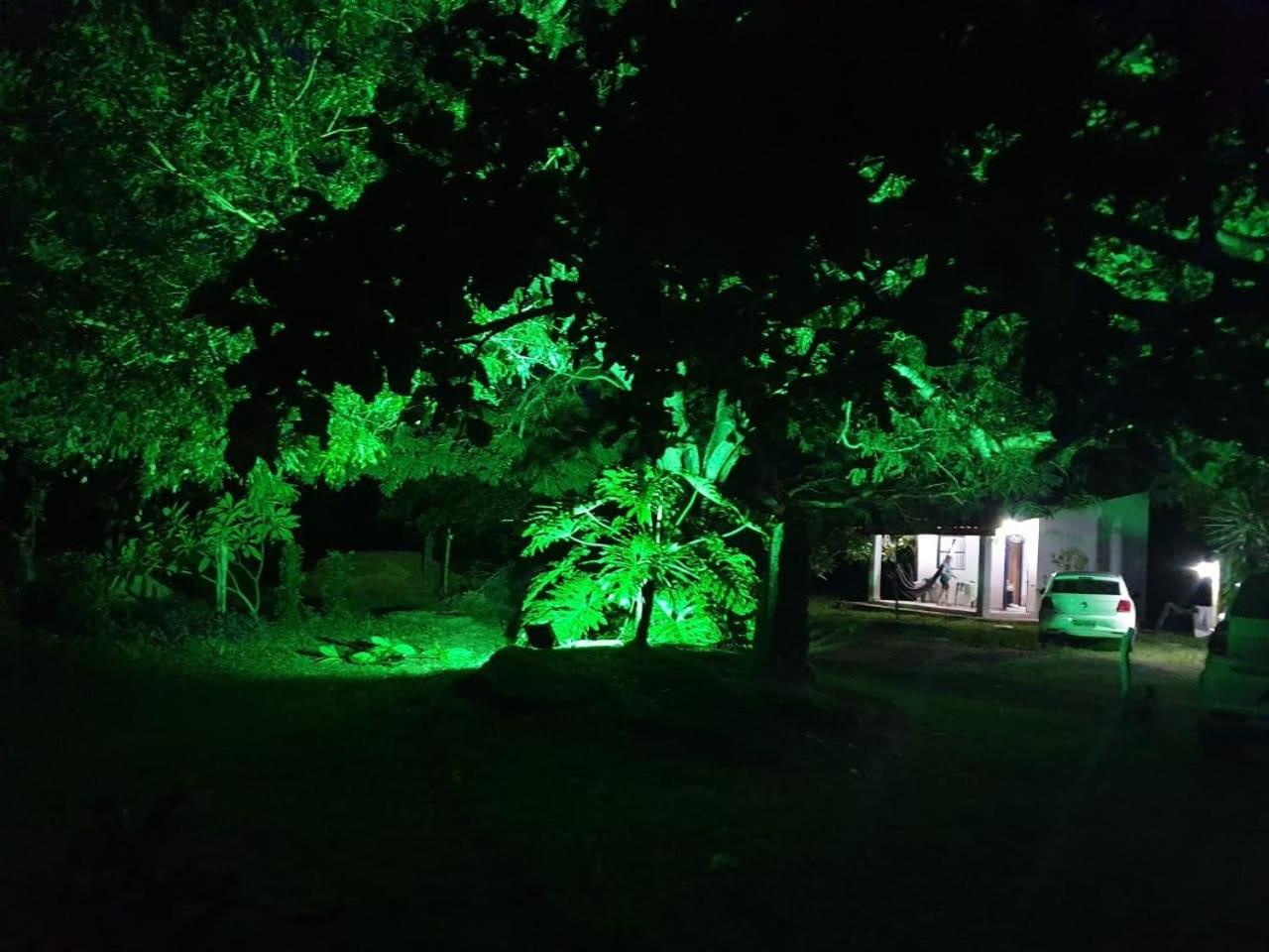 Photo 27