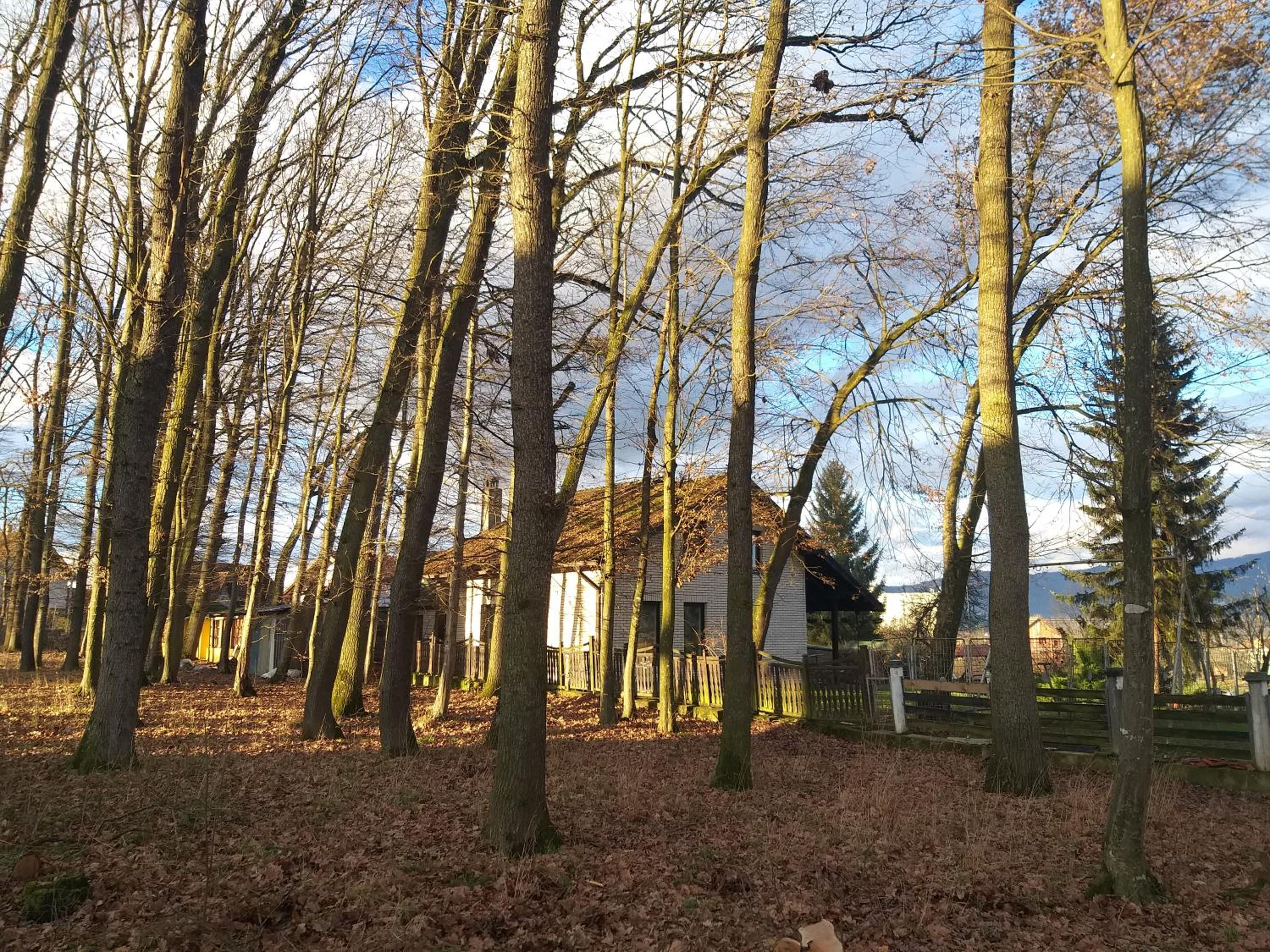Photo 18