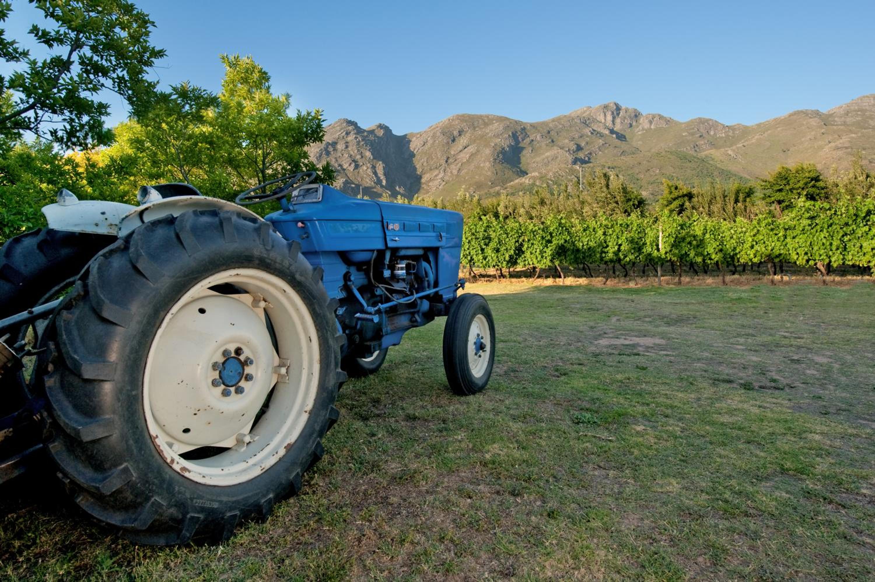 La Galiniere Guest Cottages - Image 4