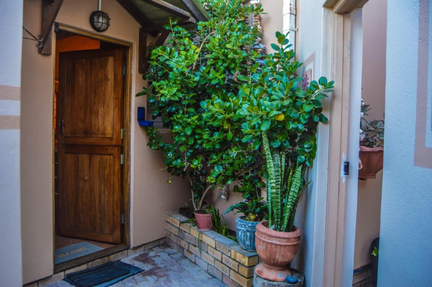 Khoinonia Guesthouse view 5
