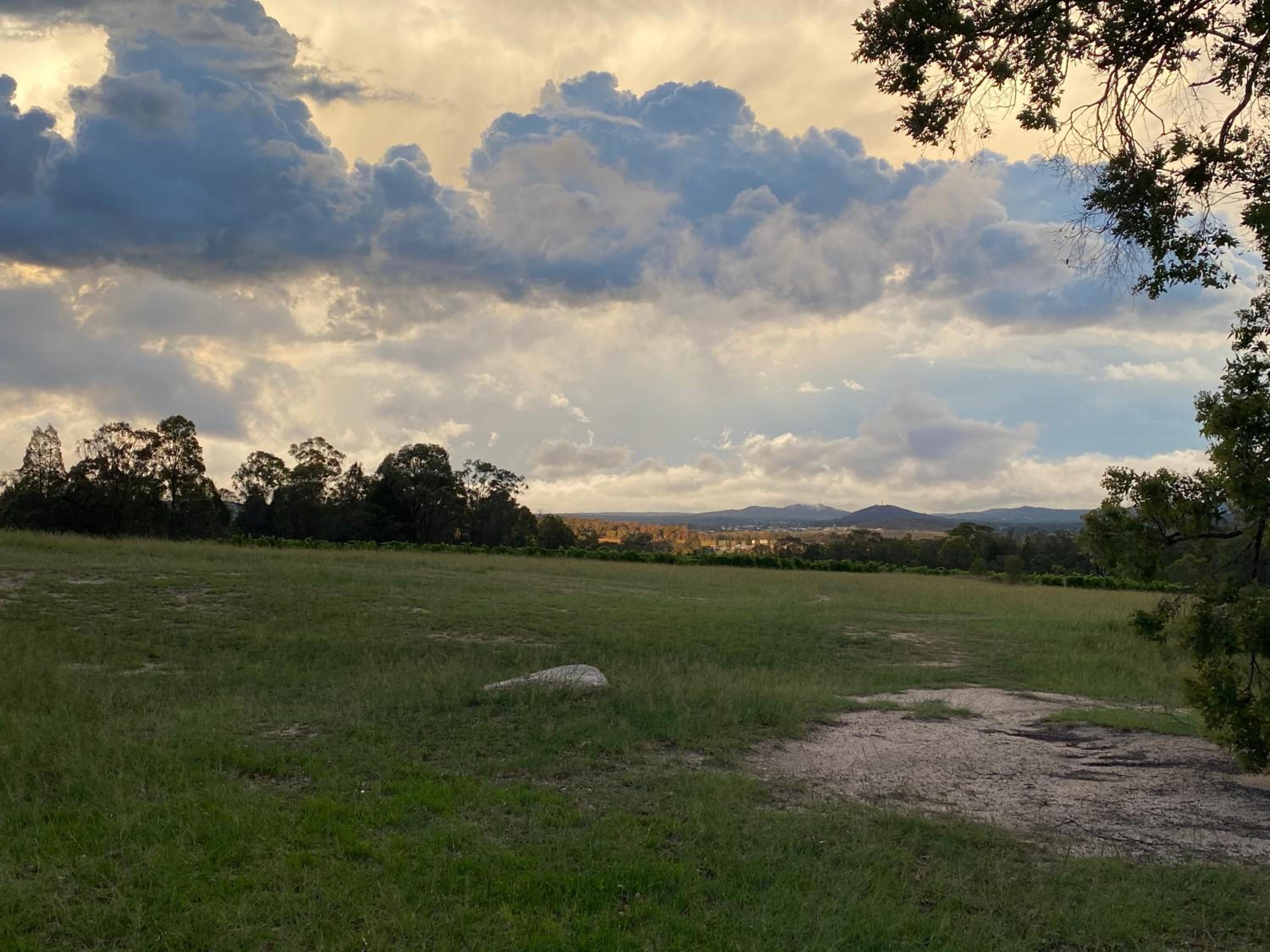 Big Fella Wines & Farmstay