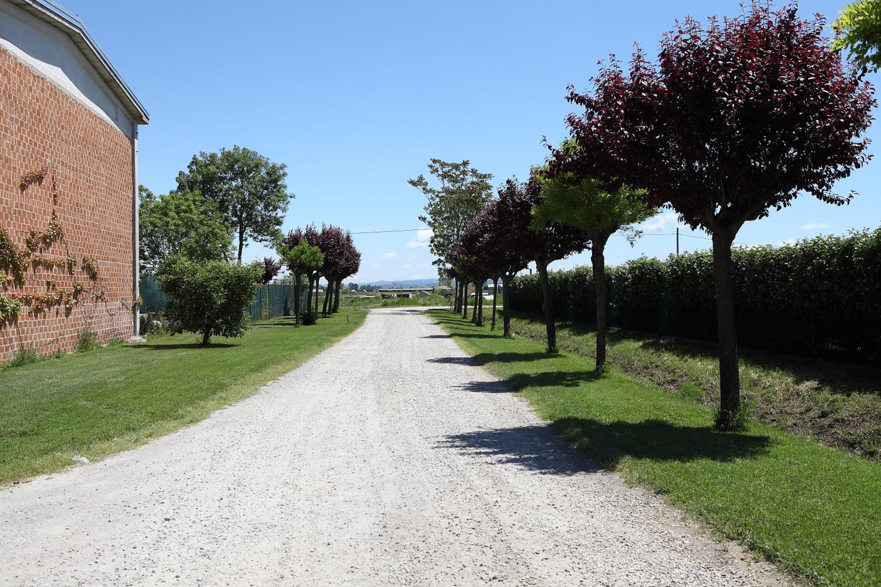 Al Casale B&B photo 2