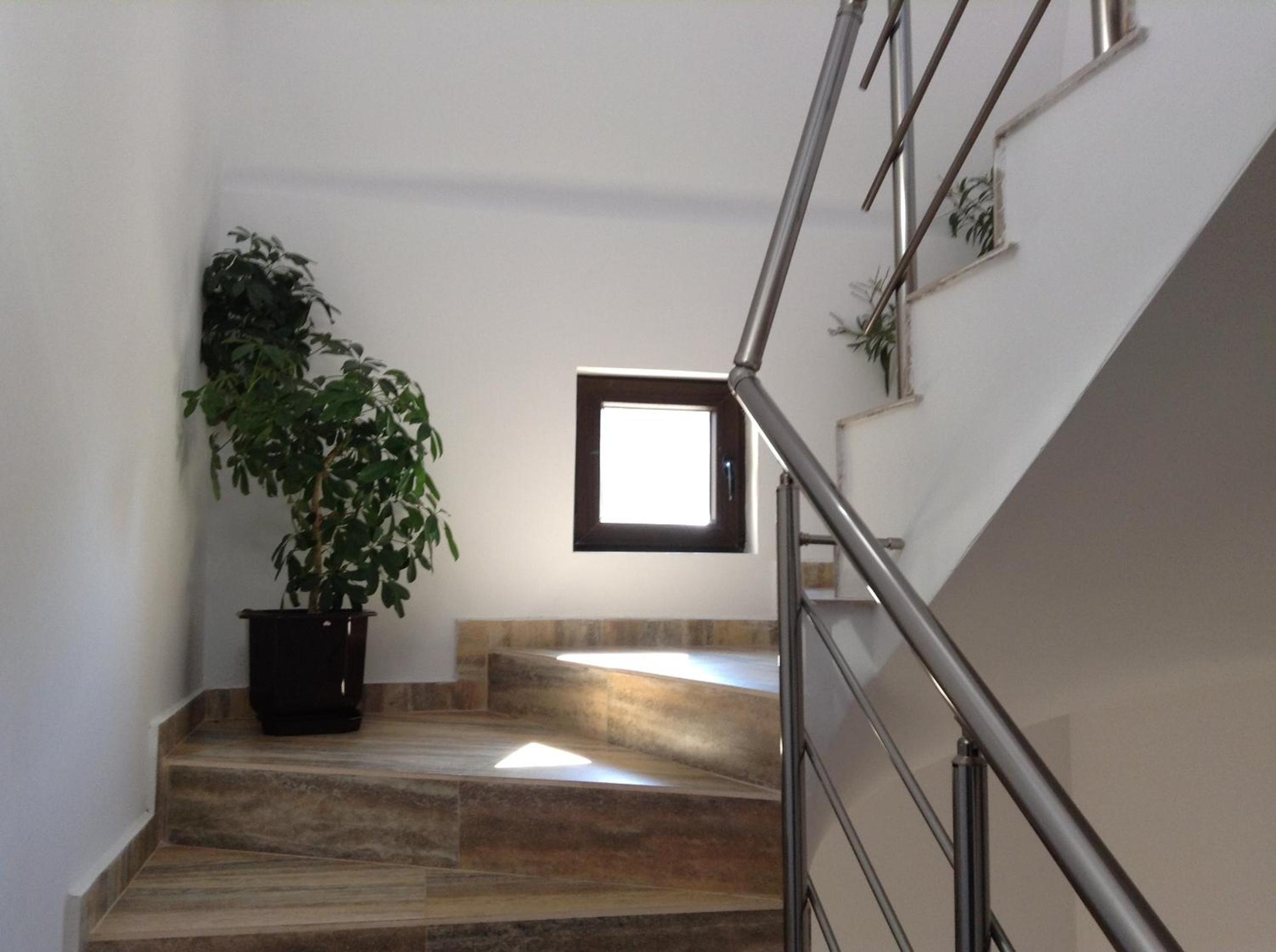 Guest House Luchi