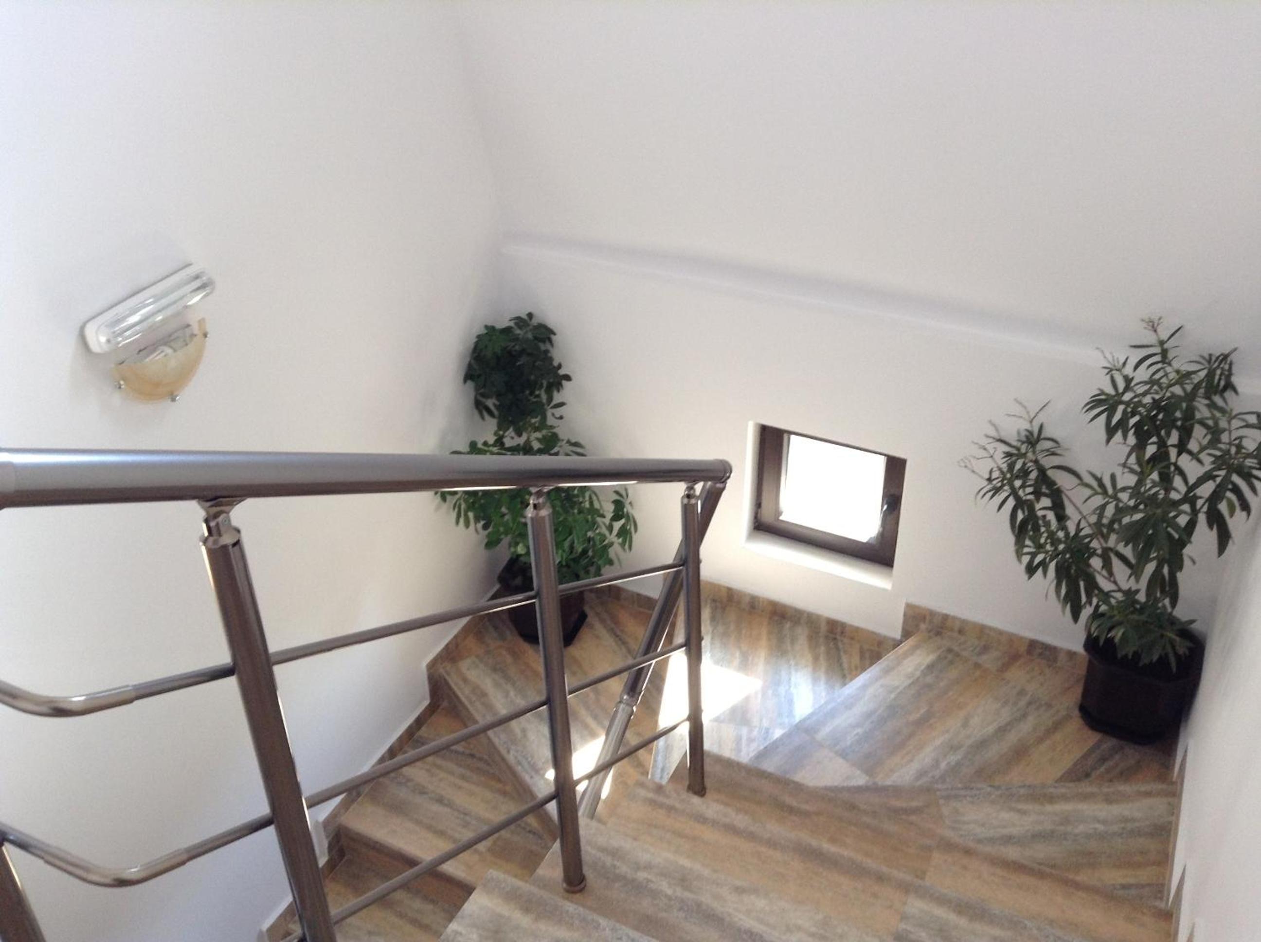Guest House Luchi