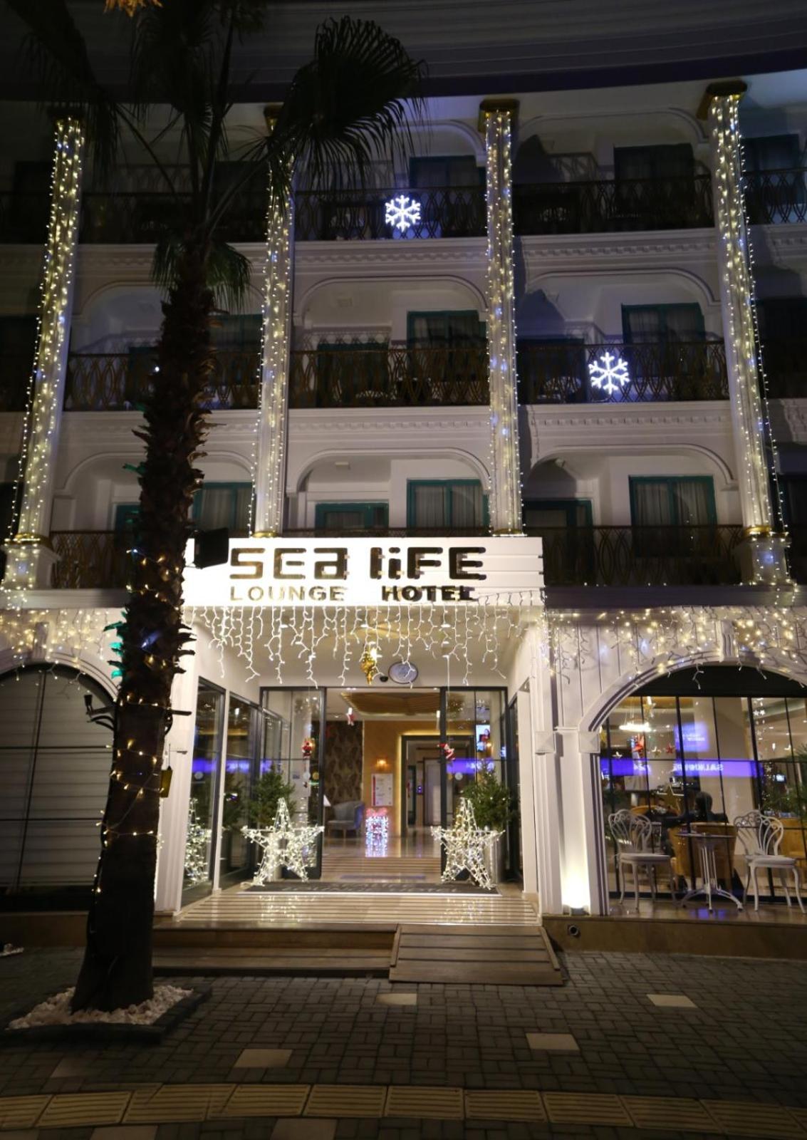 Sealife Lounge - Adult only - Image 22