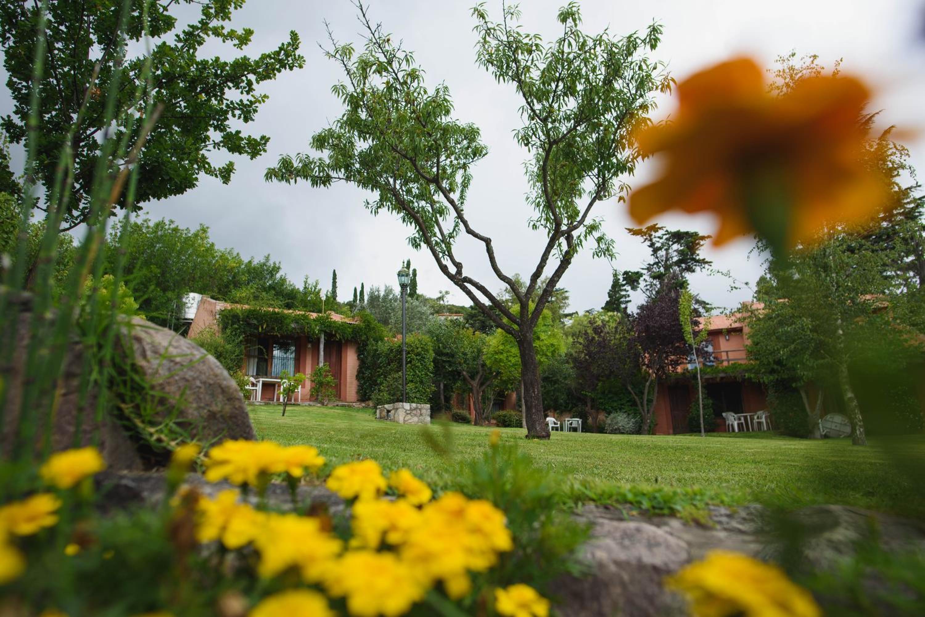 Los Almendros