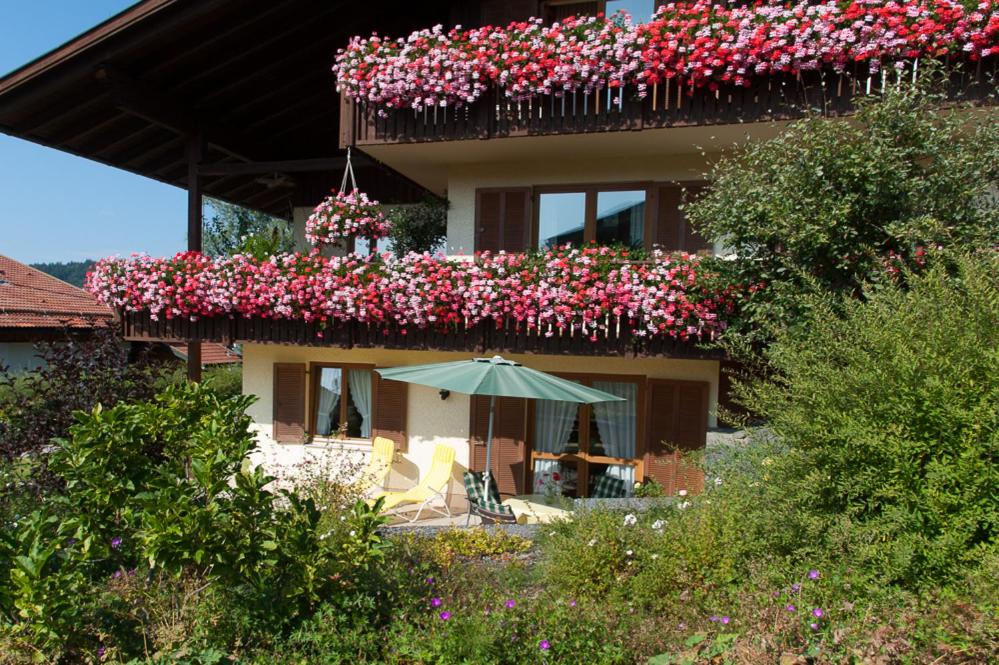 Ferienwohnung Petra Koller