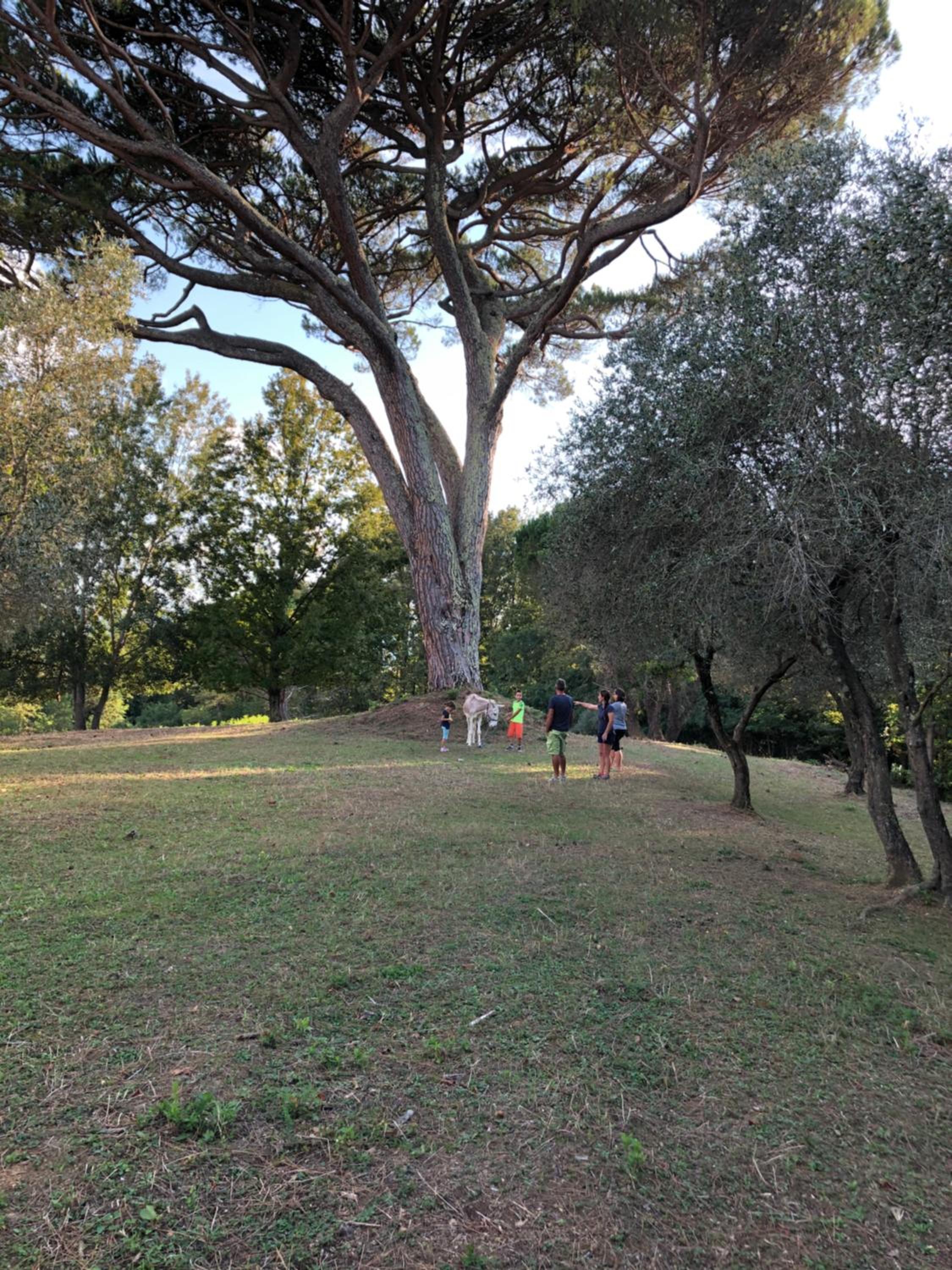 Podere La Piana