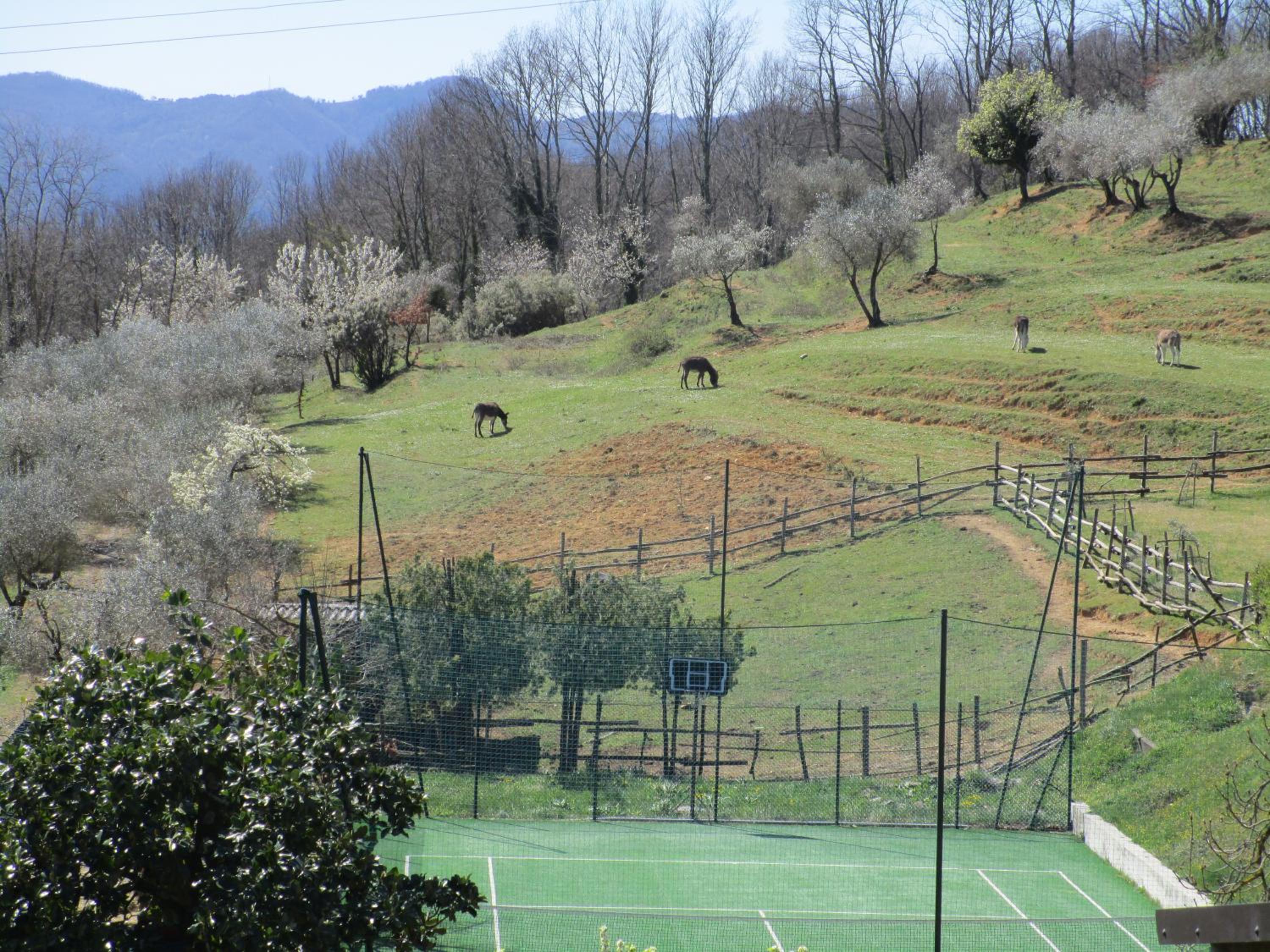 Podere La Piana