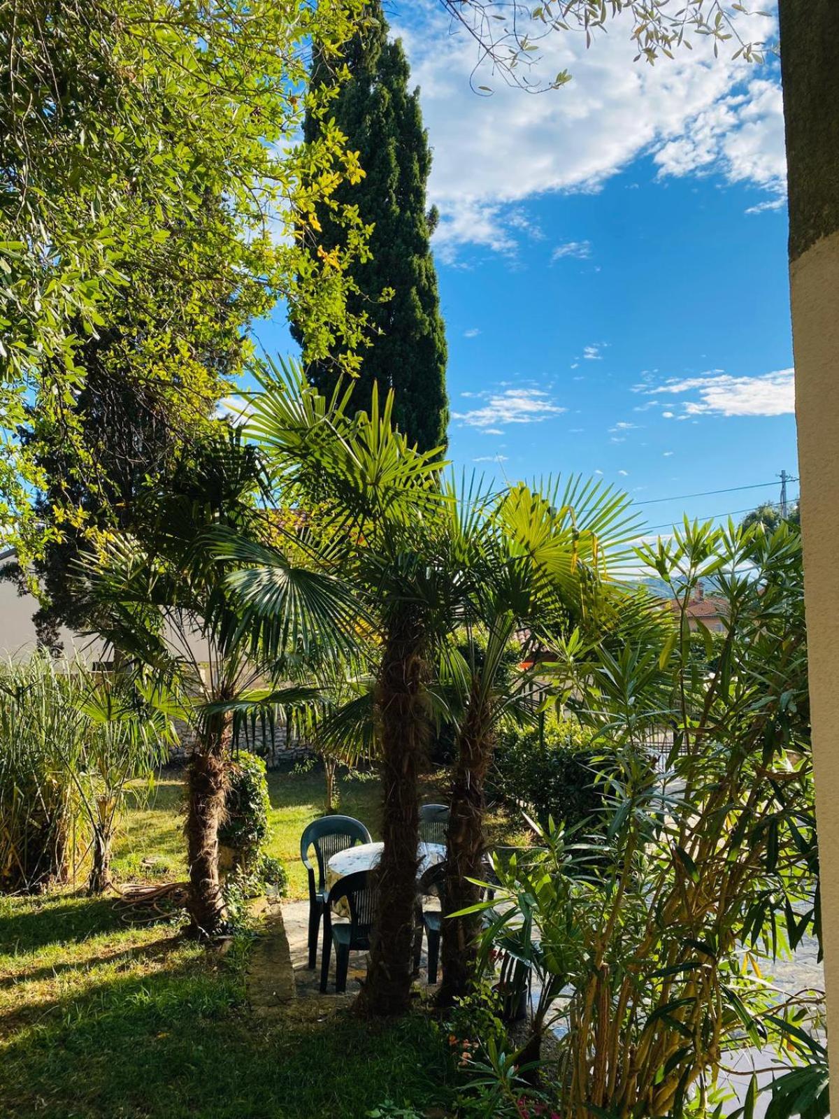 Vila Regi view 3