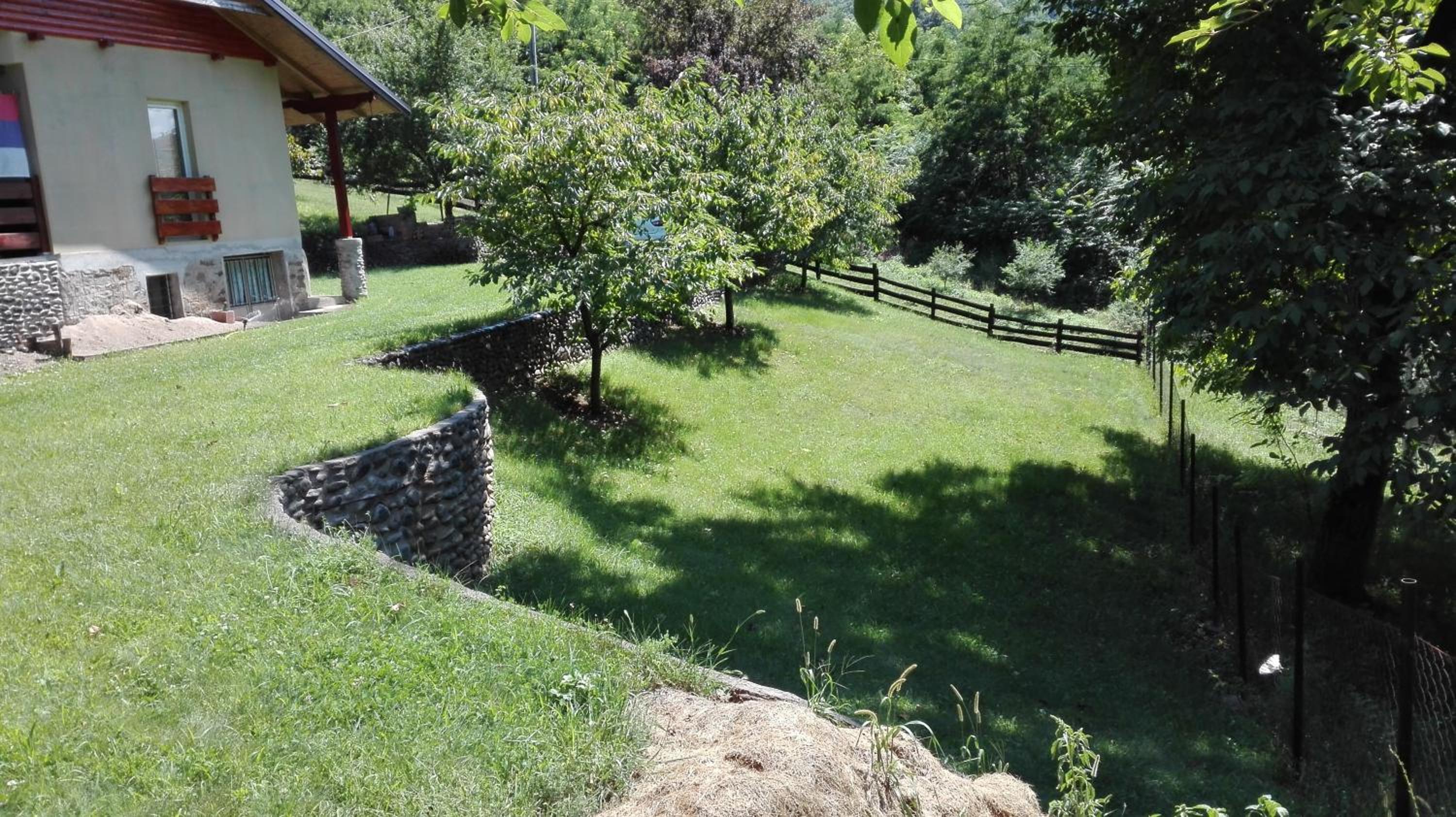 Photo 29