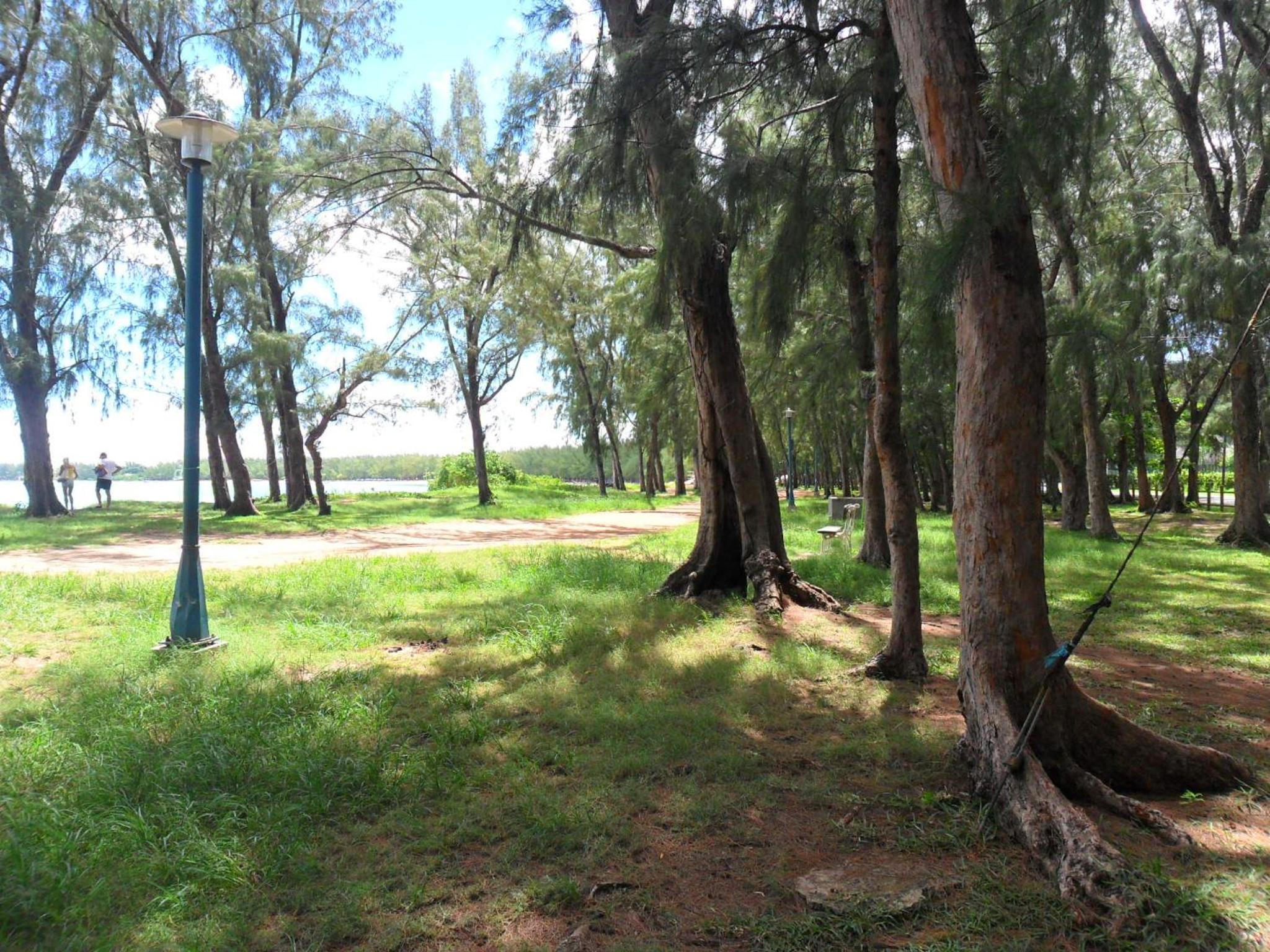 Photo 22