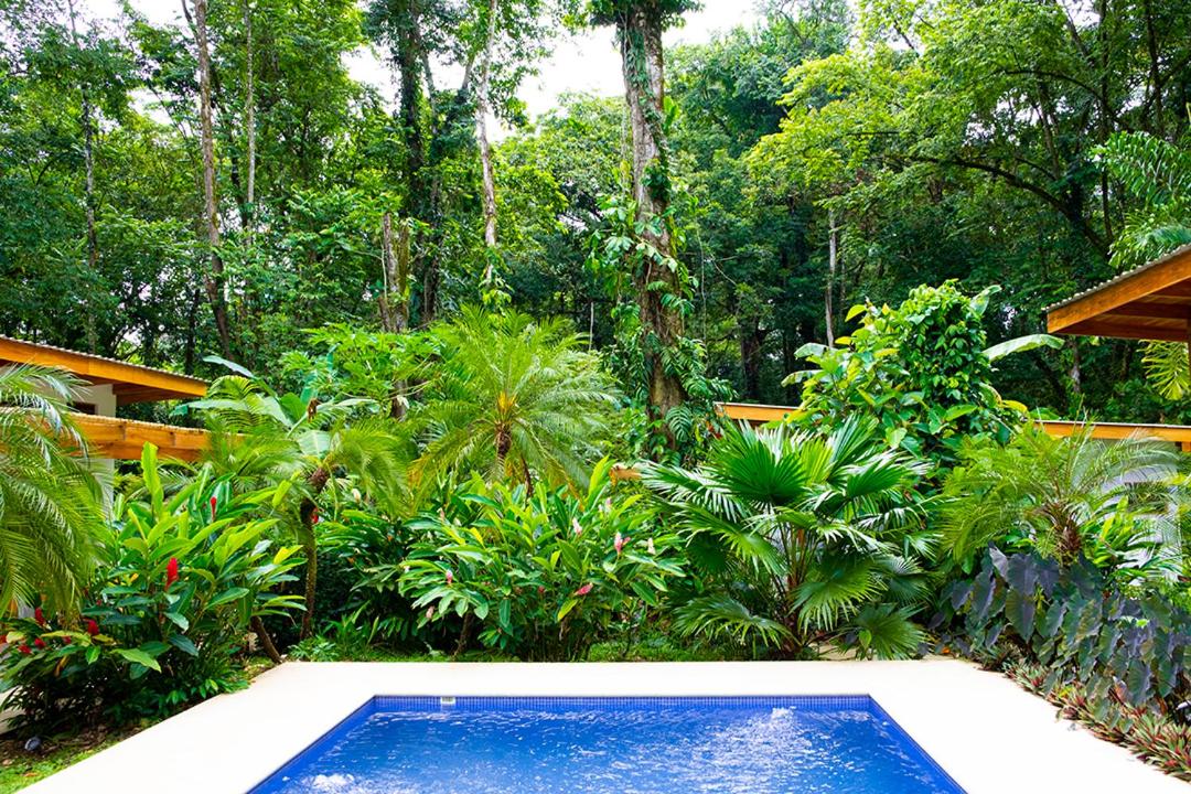 La Paz del Caribe Adults Only