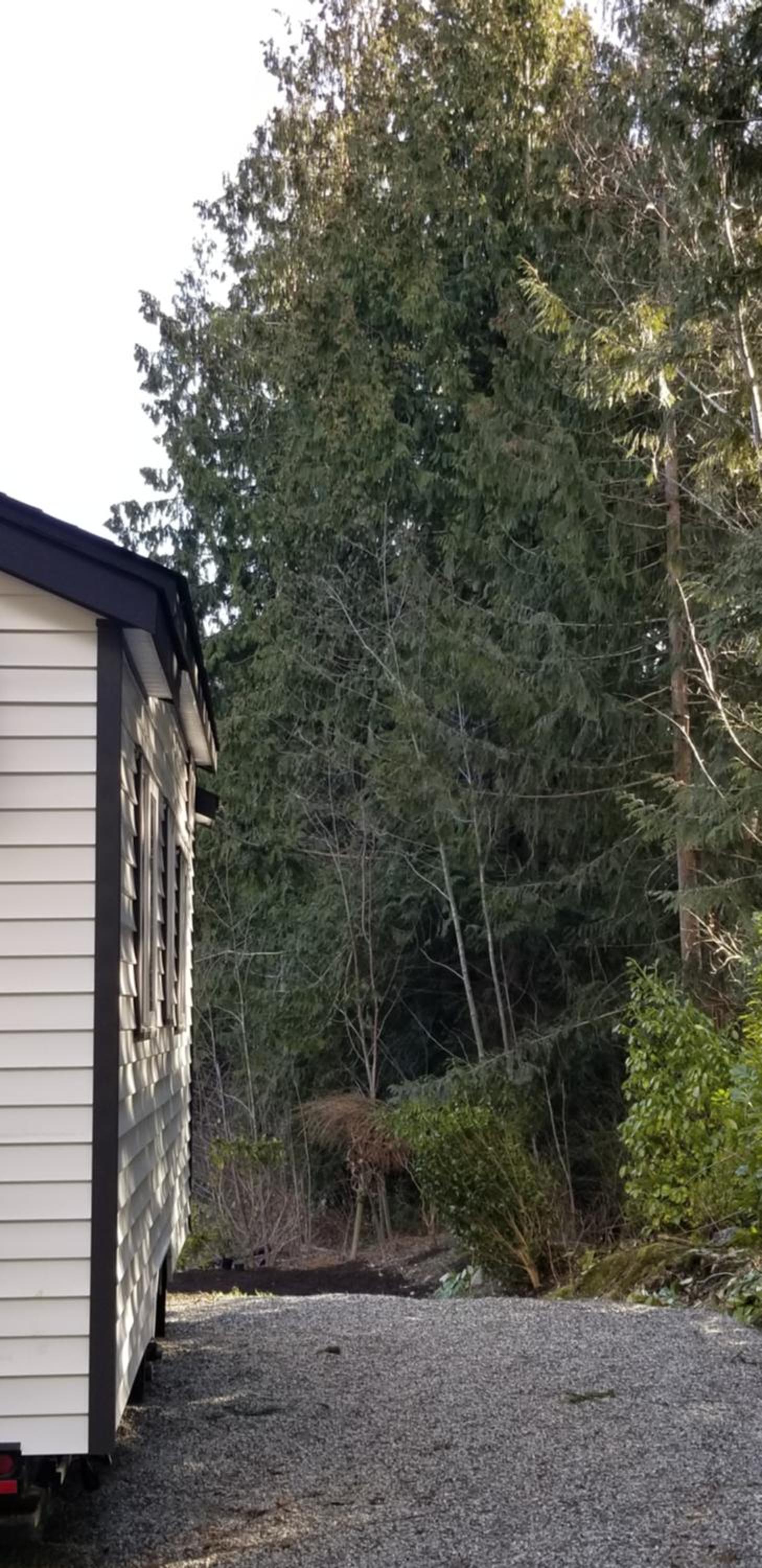 A Tiny Escape