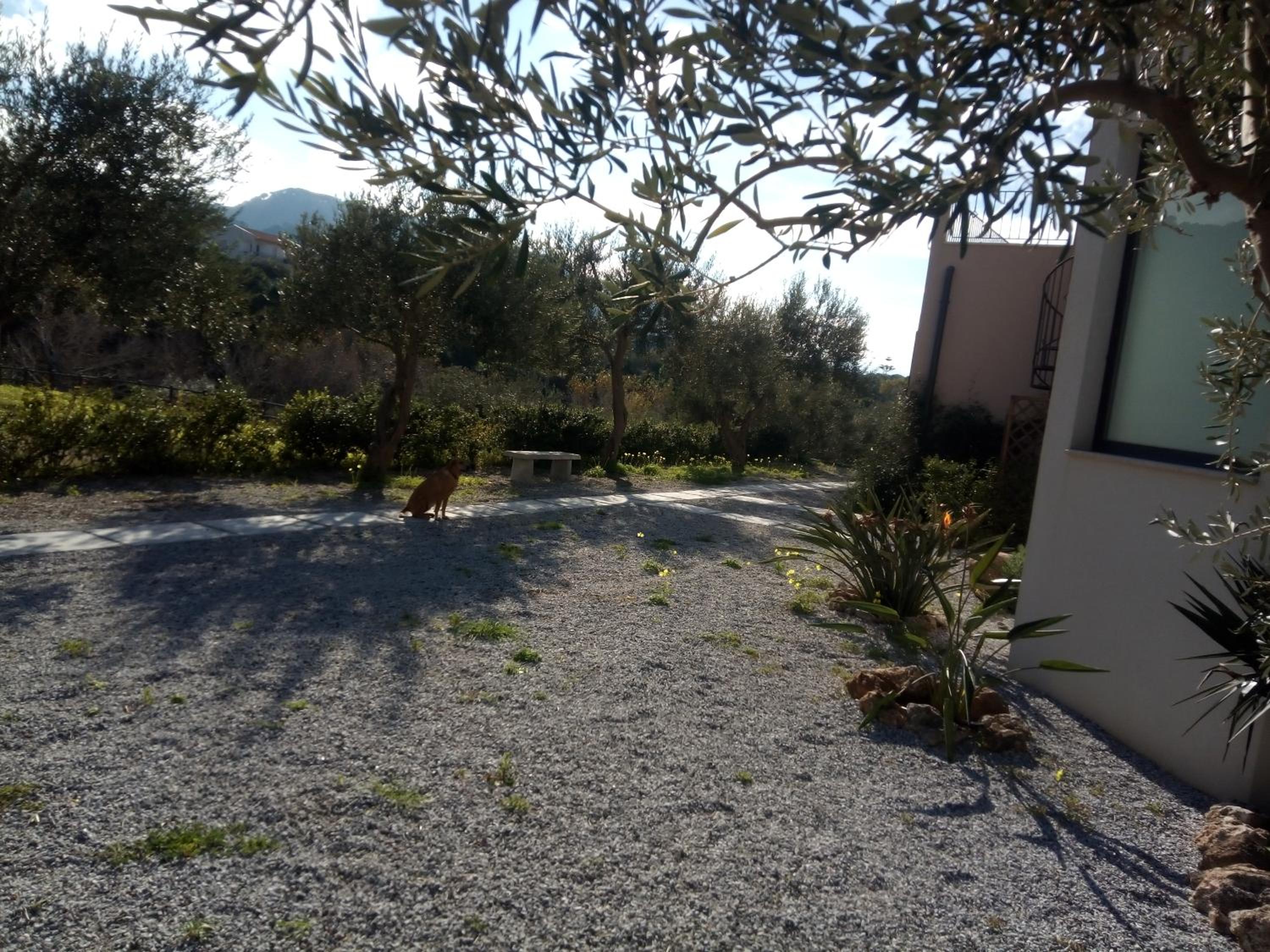 Photo 17