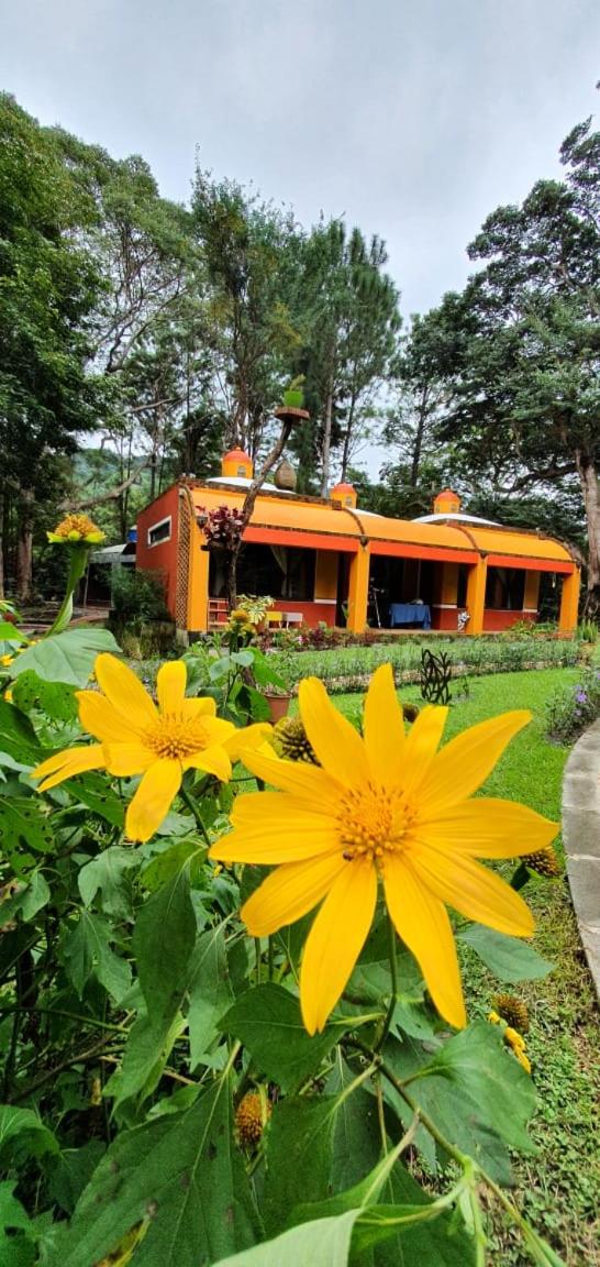 VillaHermosa B&B