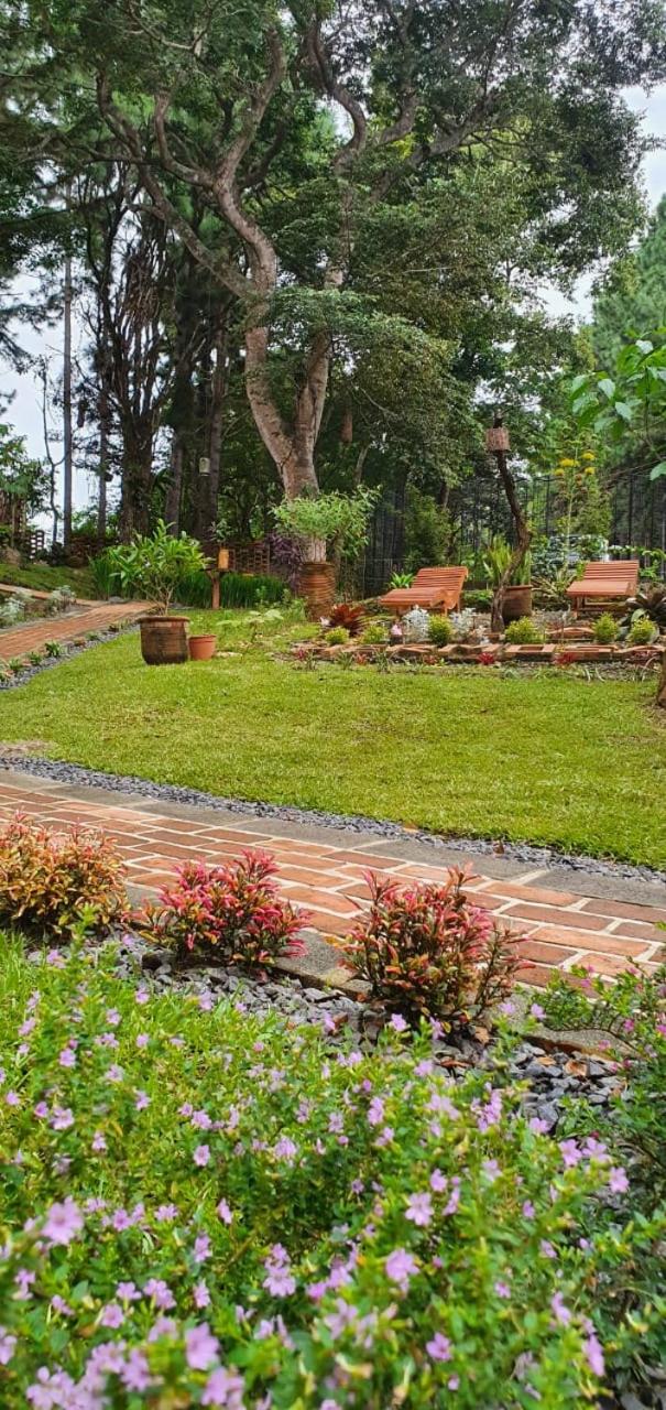 VillaHermosa B&B