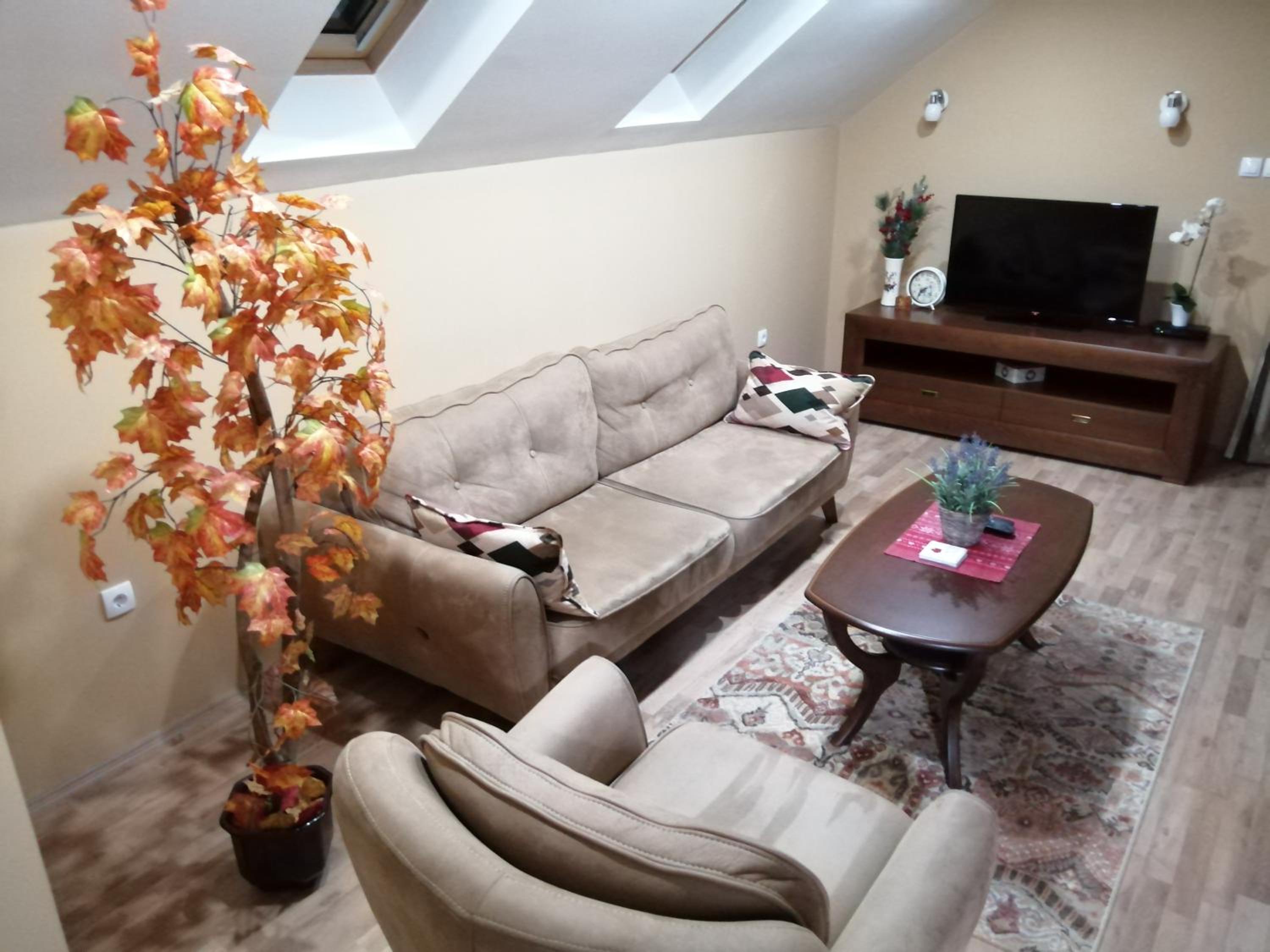 Apartmani Milošević view 4