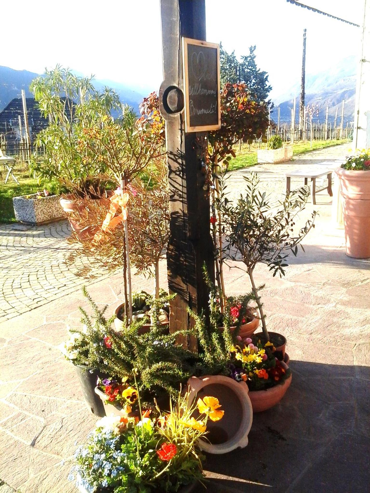 Landhaus Weingut