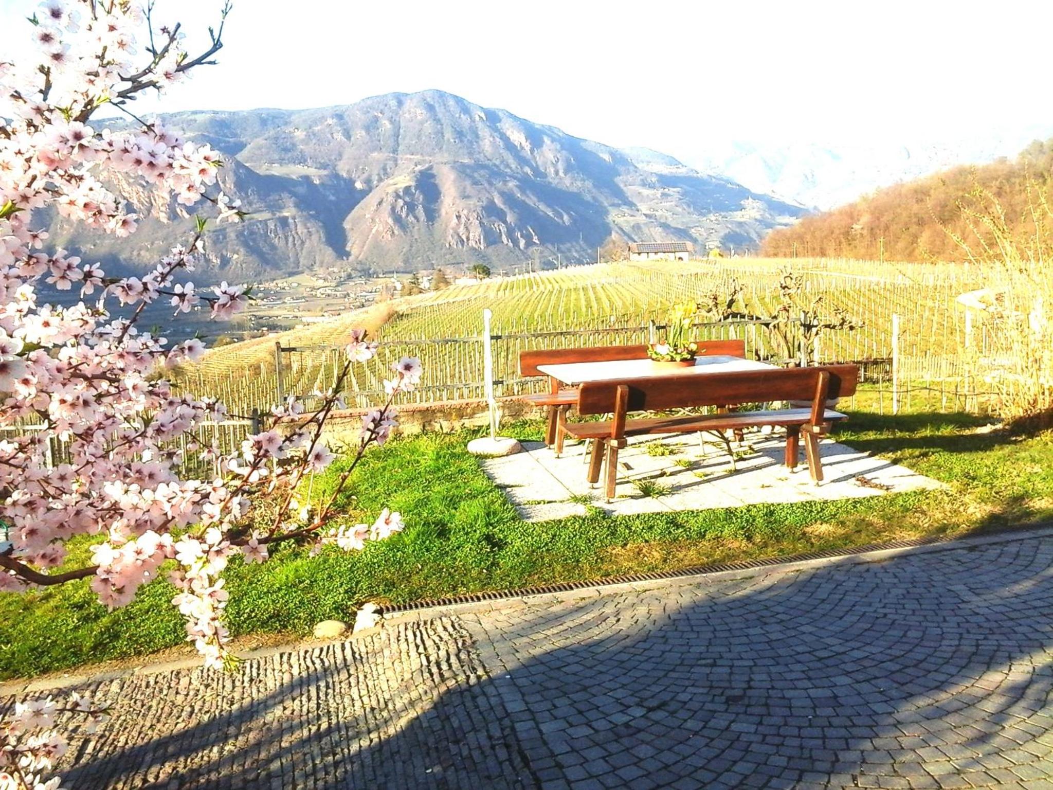 Landhaus Weingut