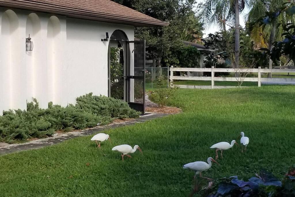 Bonita Oasis