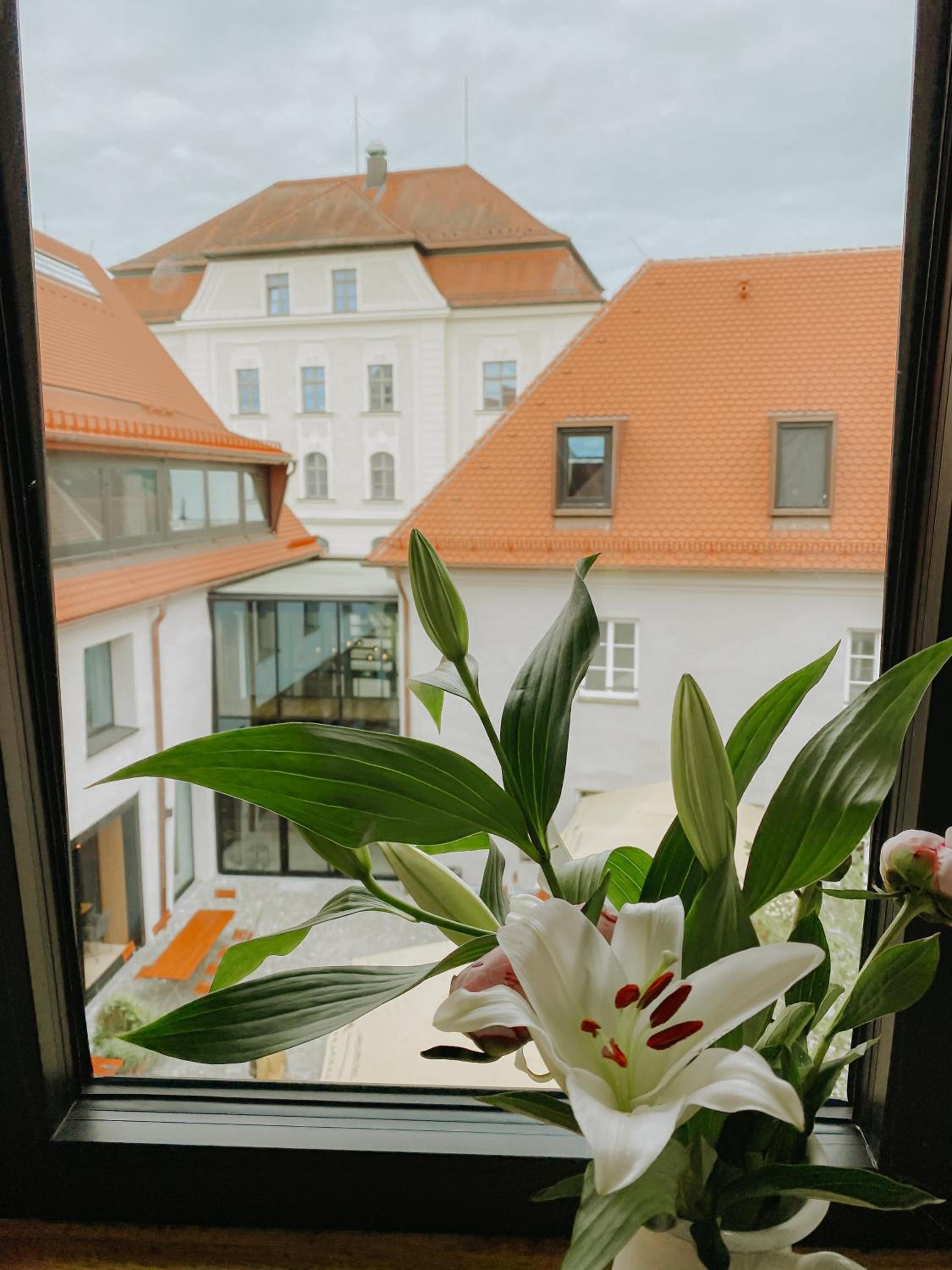 Hotel Restaurant Posthalterei - Property Image 85