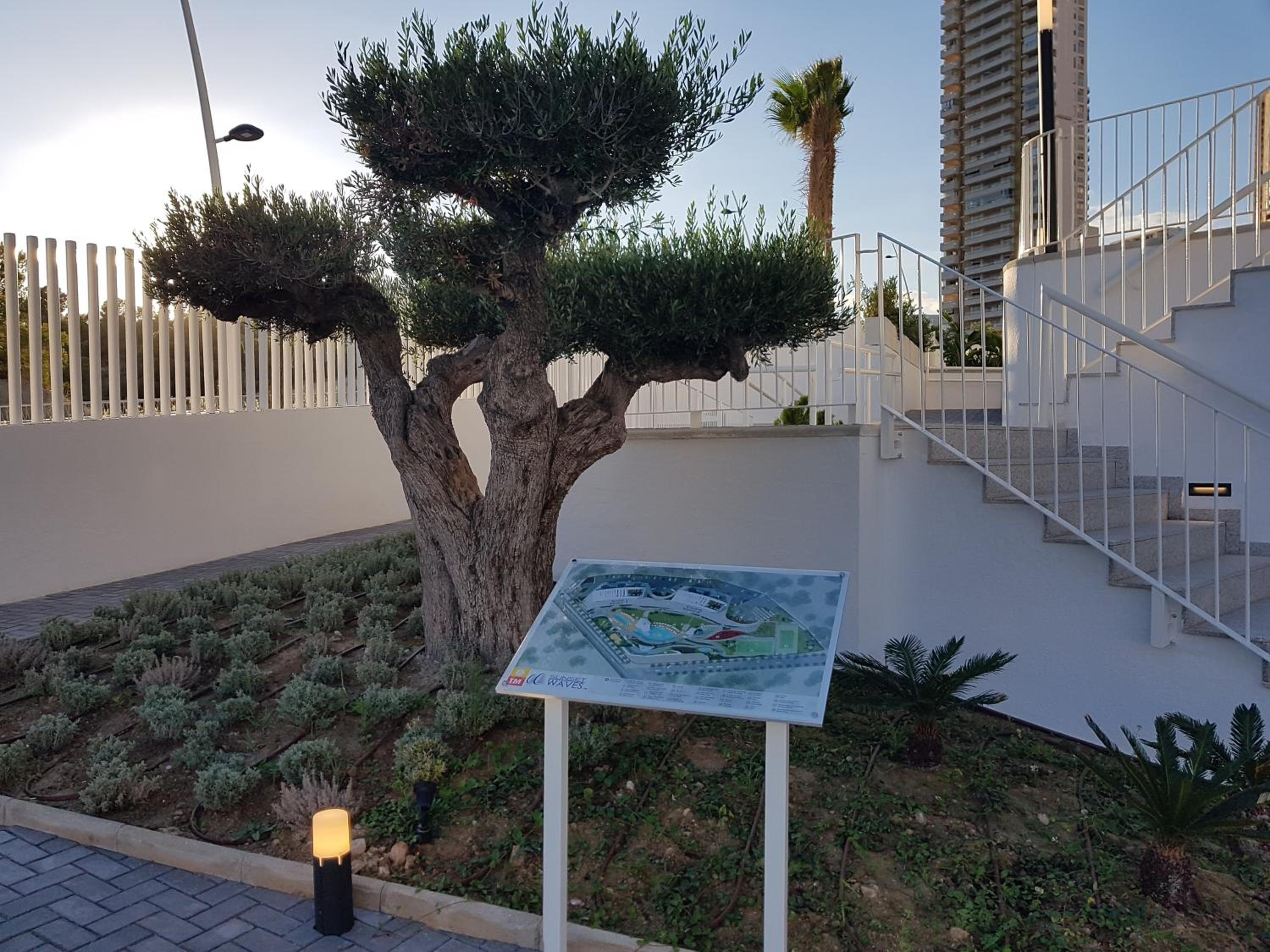ROMERO APARTMENTS-SUNSET WAVES-BENIDORM