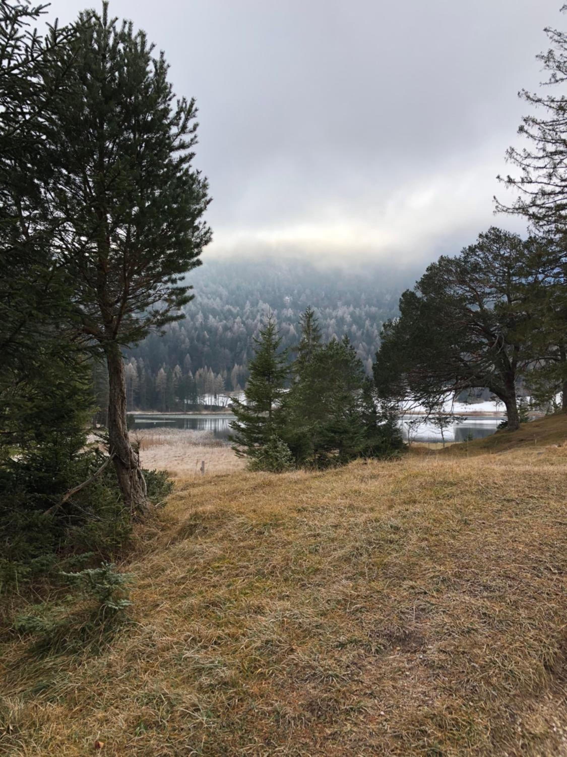 Photo 46